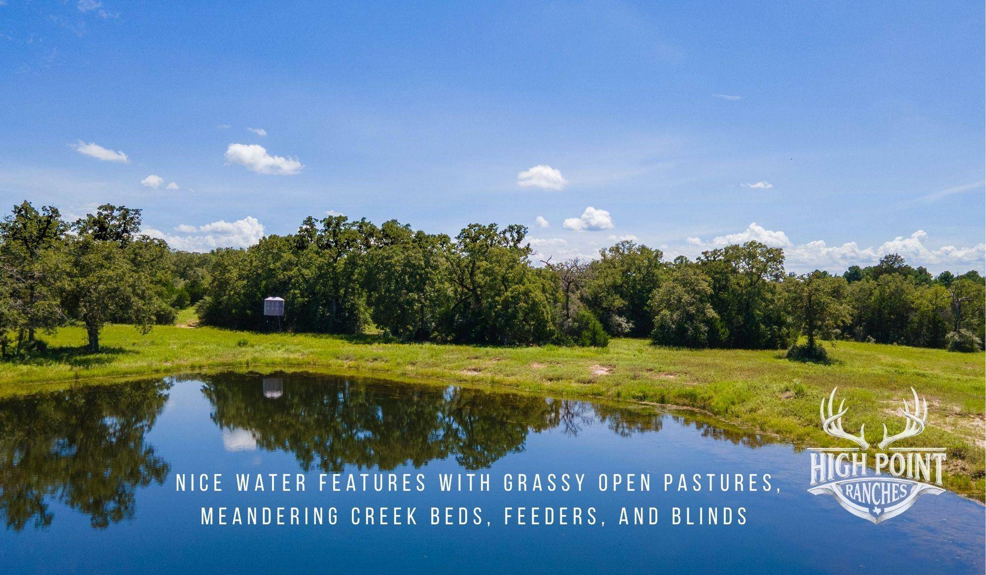 TBD Ranch Road off CR 405 (+/- 245 acres), Lexington, TX 78947