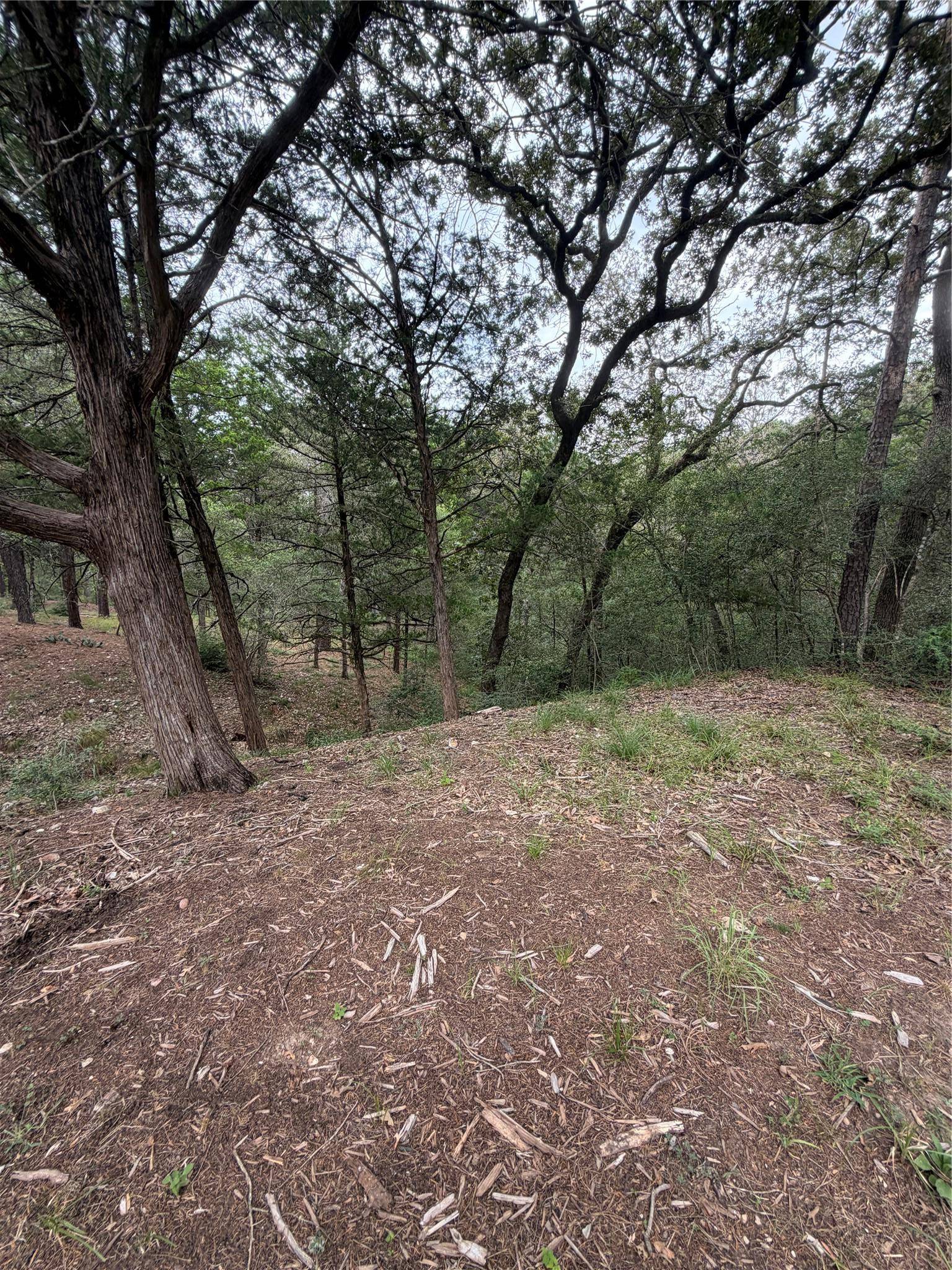 Lot 293 Aka CT, Bastrop, TX 78602