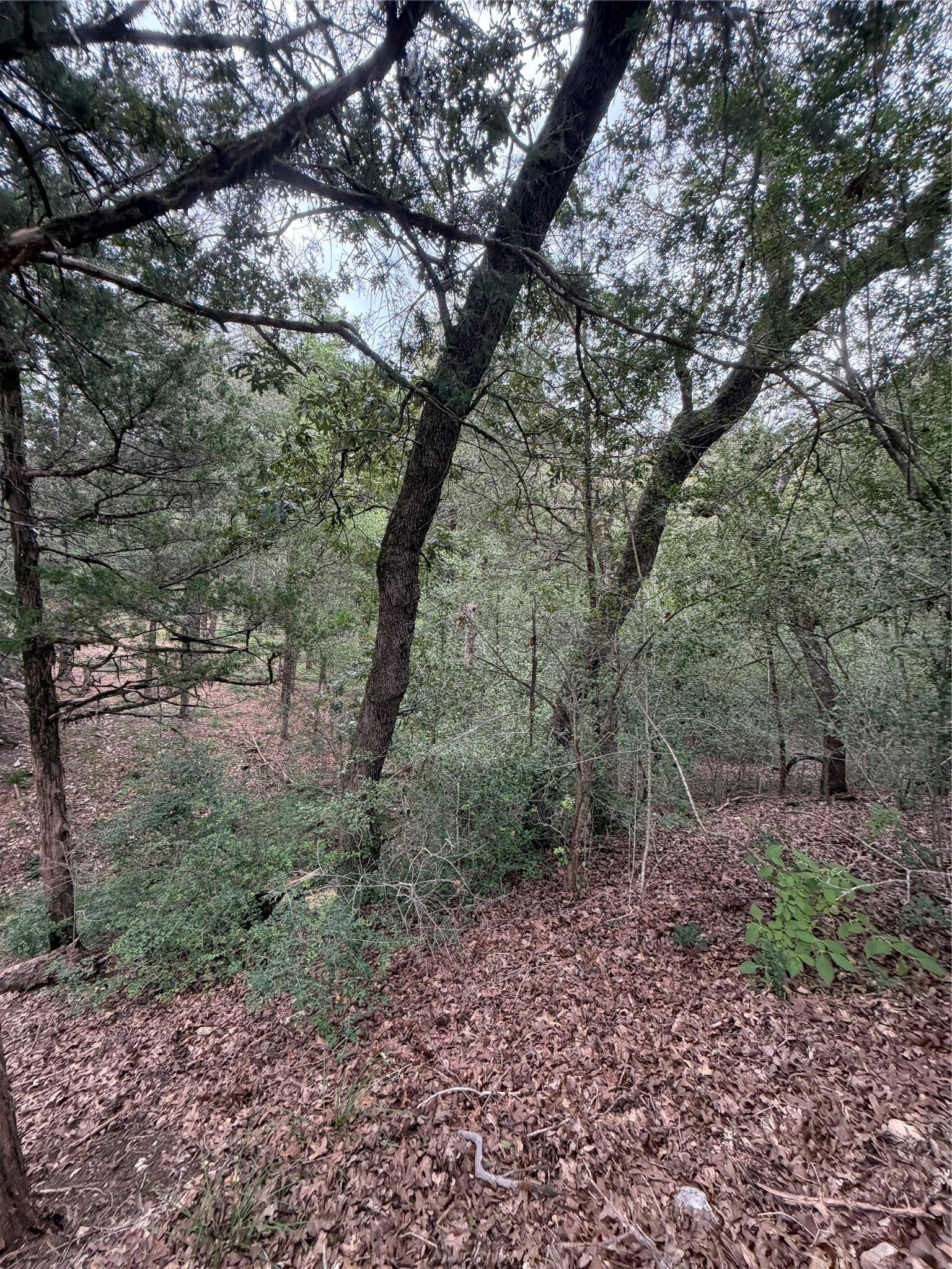 Lot 293 Aka CT, Bastrop, TX 78602