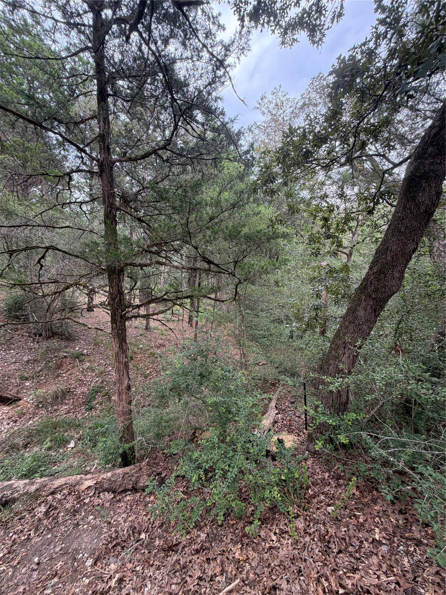 Lot 293 Aka CT, Bastrop, TX 78602