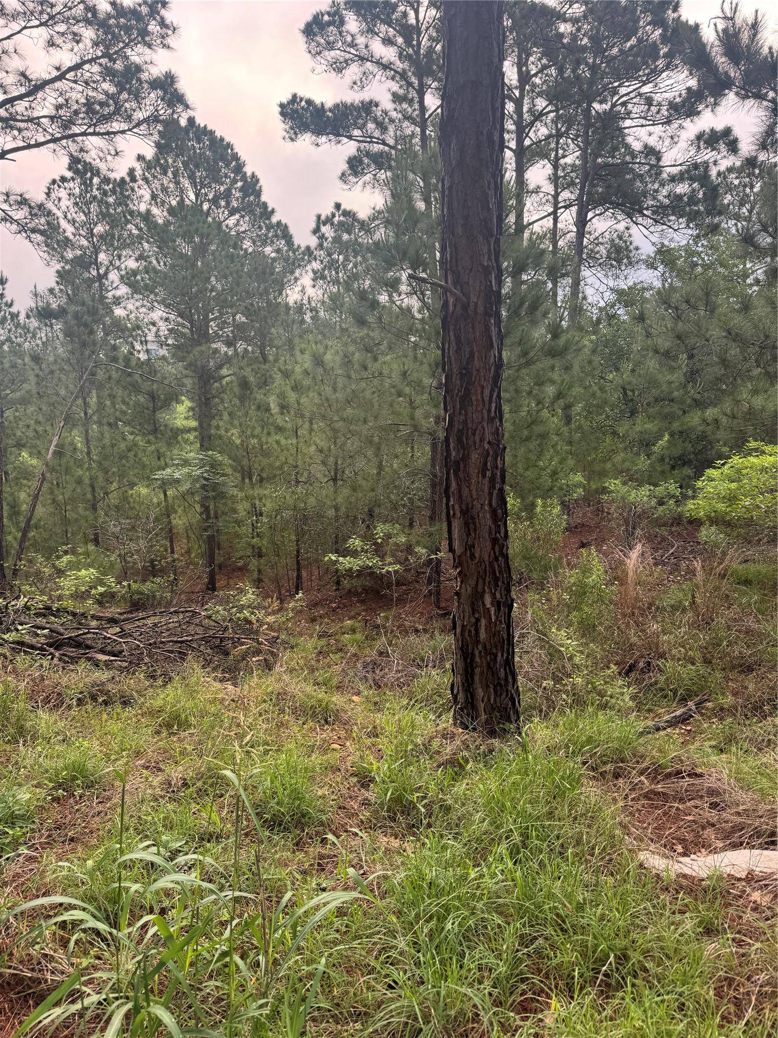 Lots 1490, 1491, 1492 Haleakala, Bastrop, TX 78602