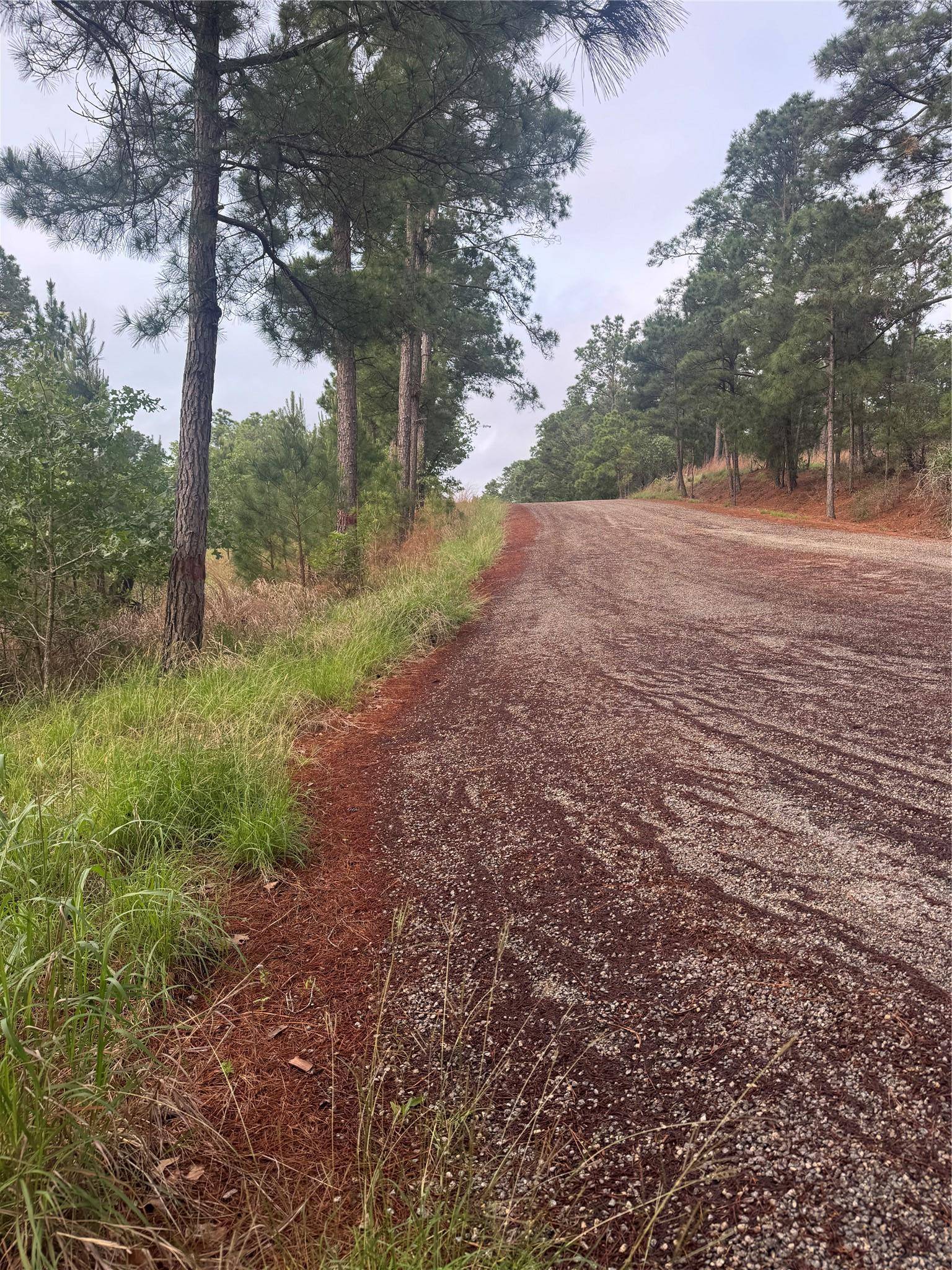 Lots 1490, 1491, 1492 Haleakala, Bastrop, TX 78602