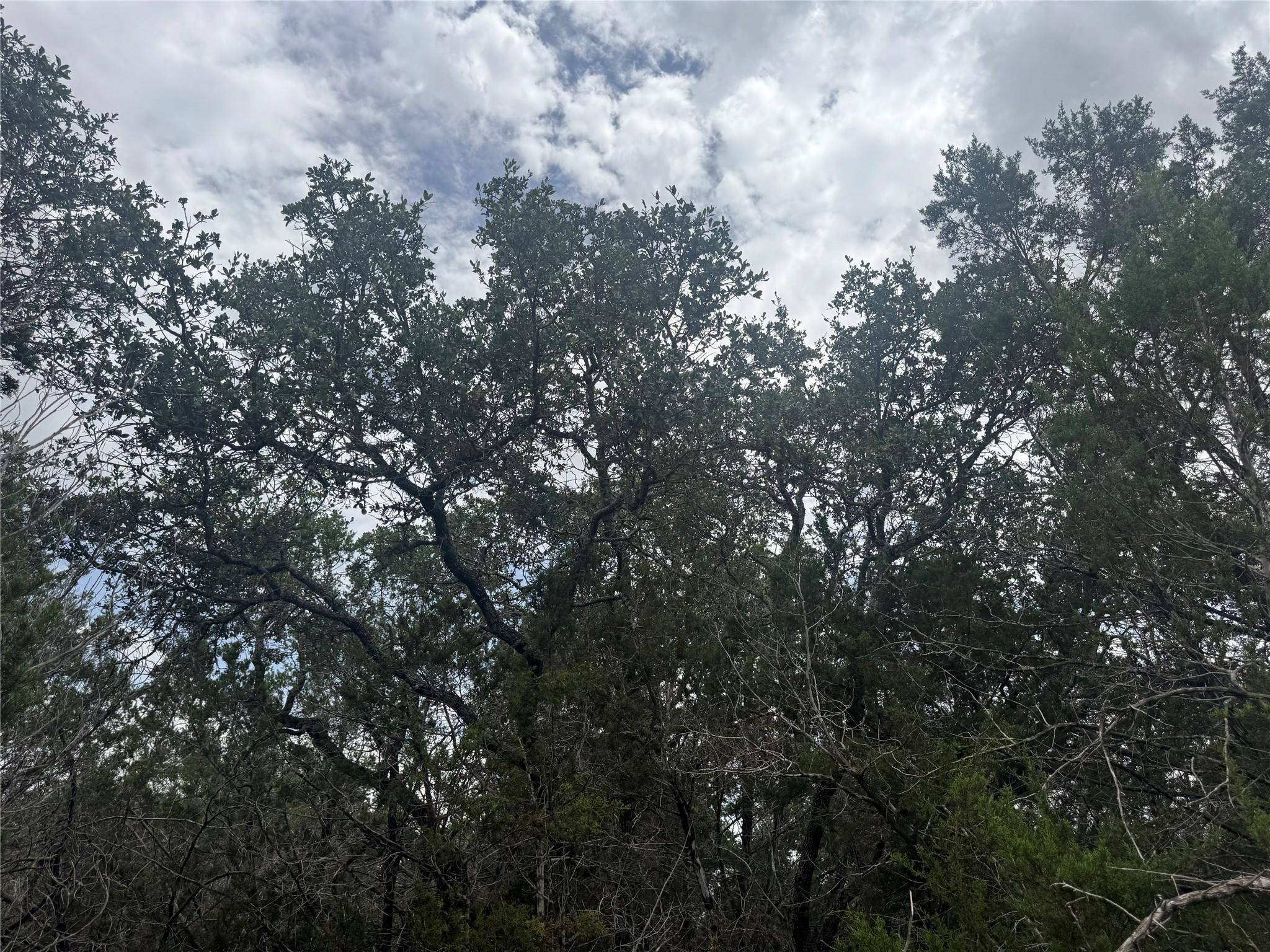 TBD Fort Croghan LN, Burnet, TX 78611