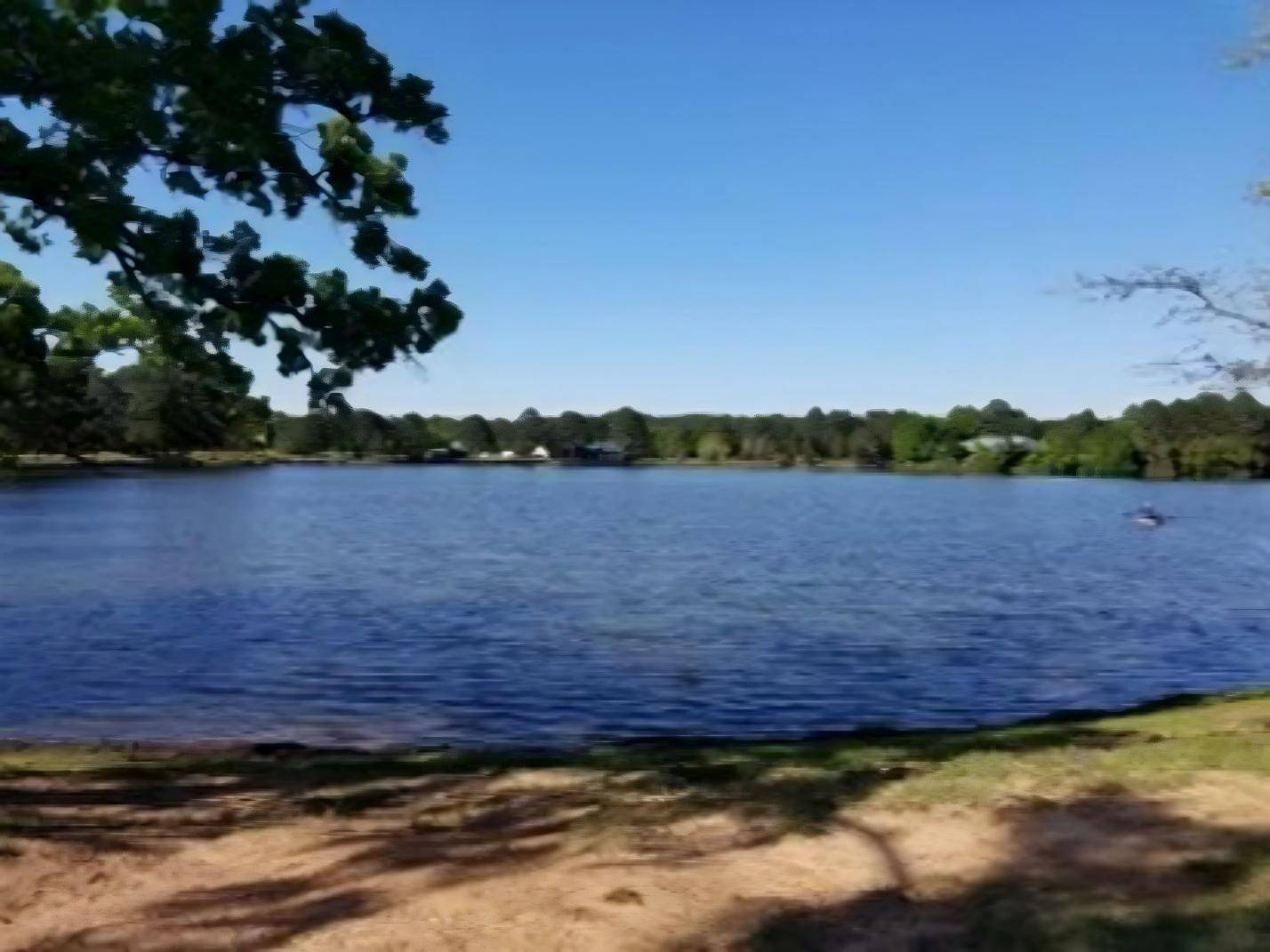 119 S Buckhorn DR, Bastrop, TX 78602