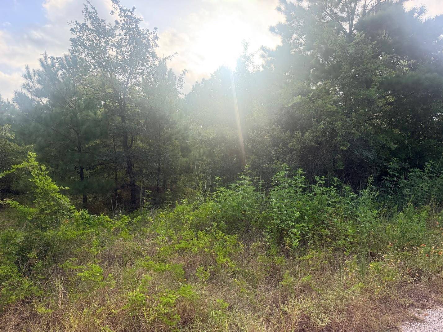119 S Buckhorn DR, Bastrop, TX 78602
