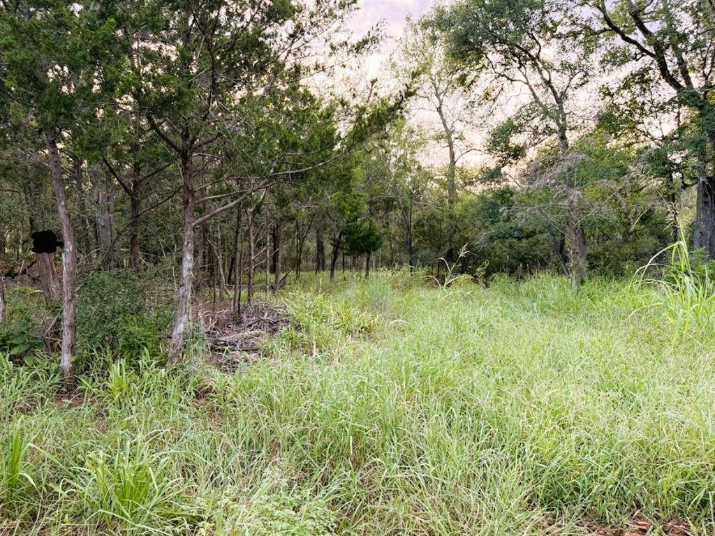 TBD Hilea Ct (lot 626) Hilea CT, Bastrop, TX 78602