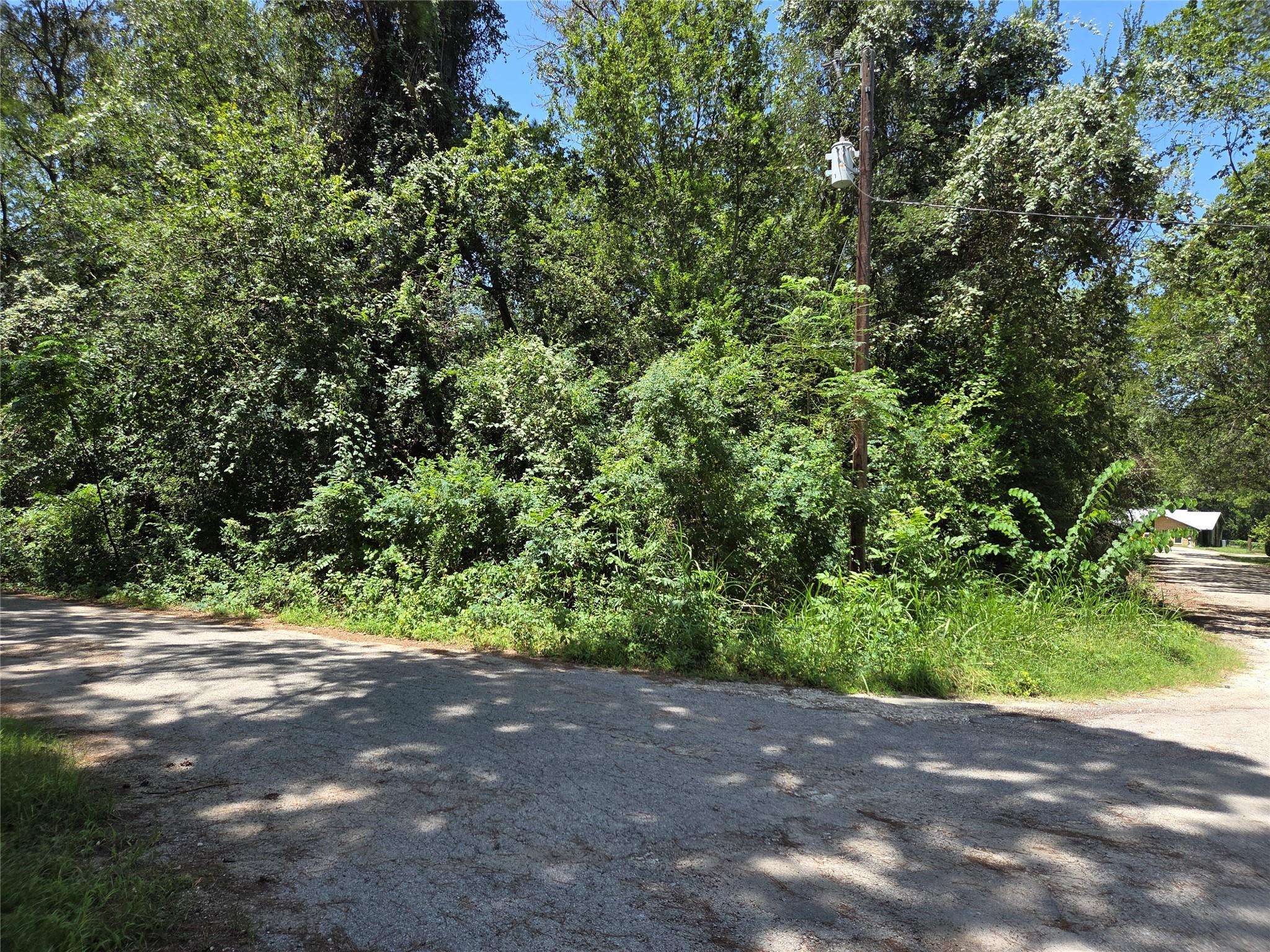 TBD Nancy / Davis ST, Bastrop, TX 78602