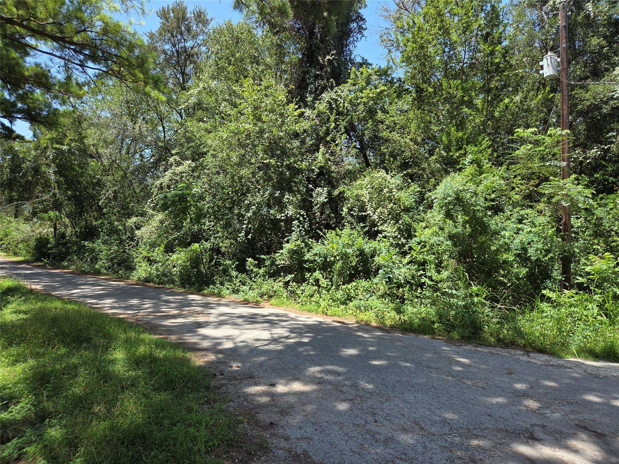 TBD Nancy / Davis ST, Bastrop, TX 78602