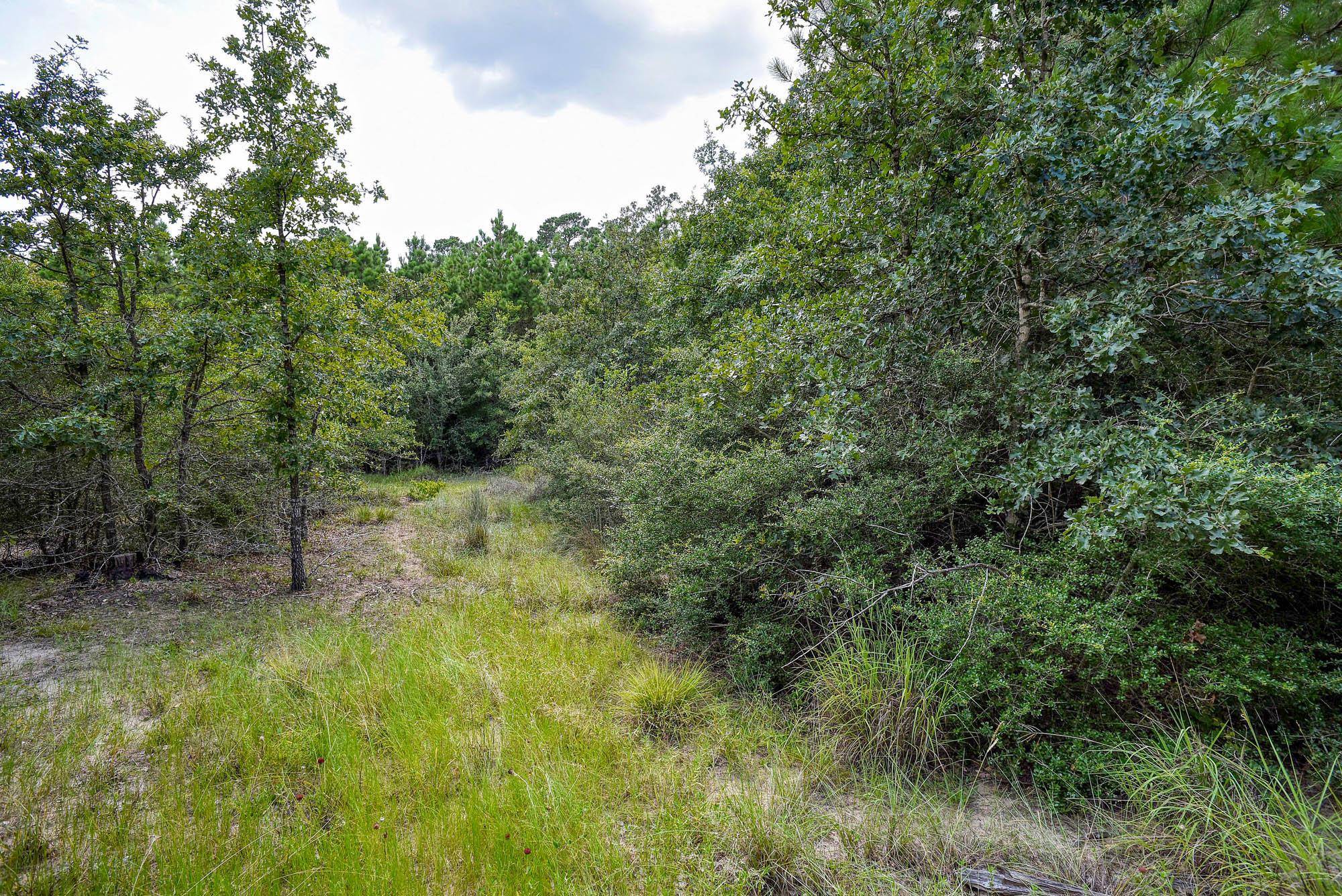 TBD Kipahulu DR #2, Bastrop, TX 78602