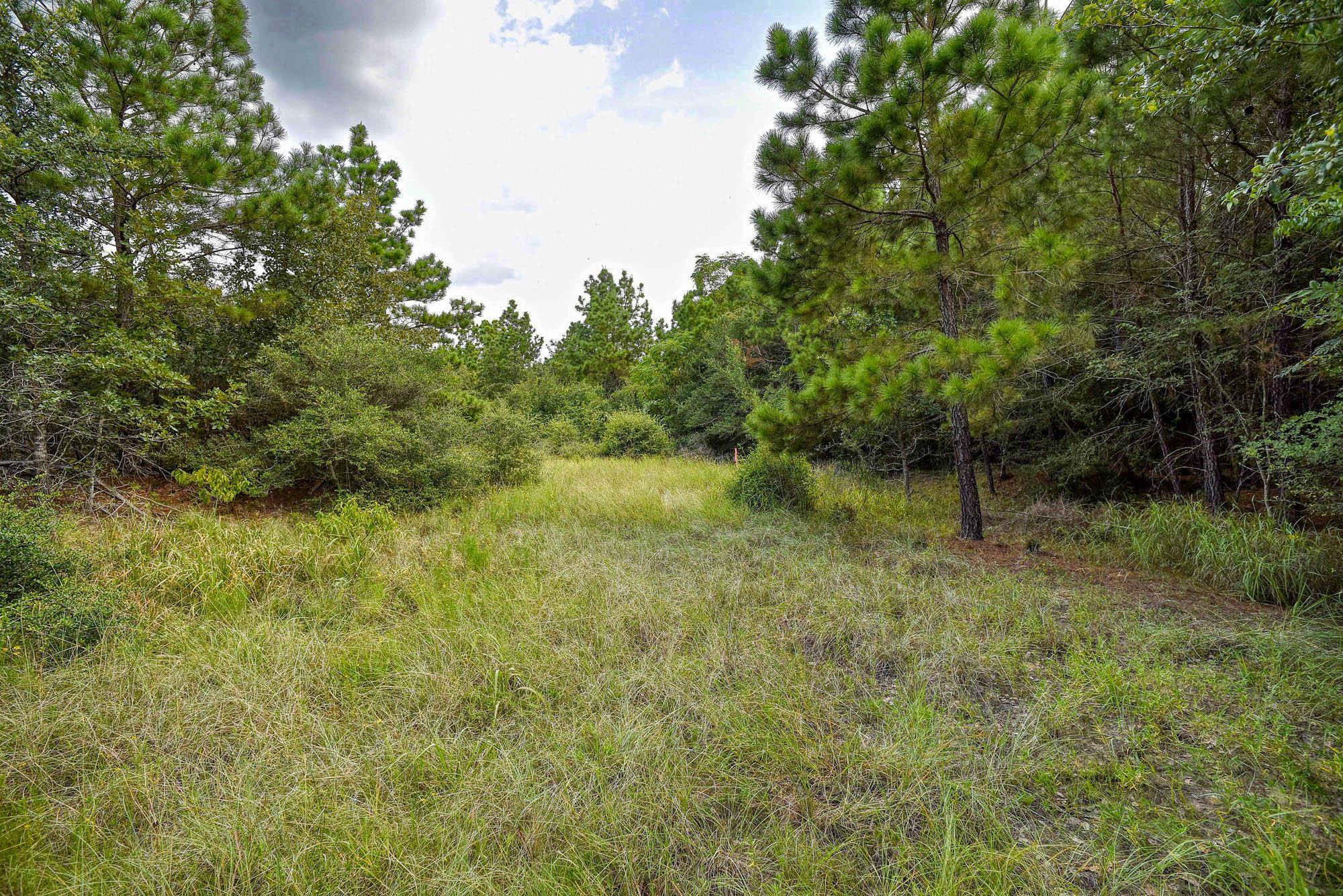 TBD Kipahulu DR #2, Bastrop, TX 78602
