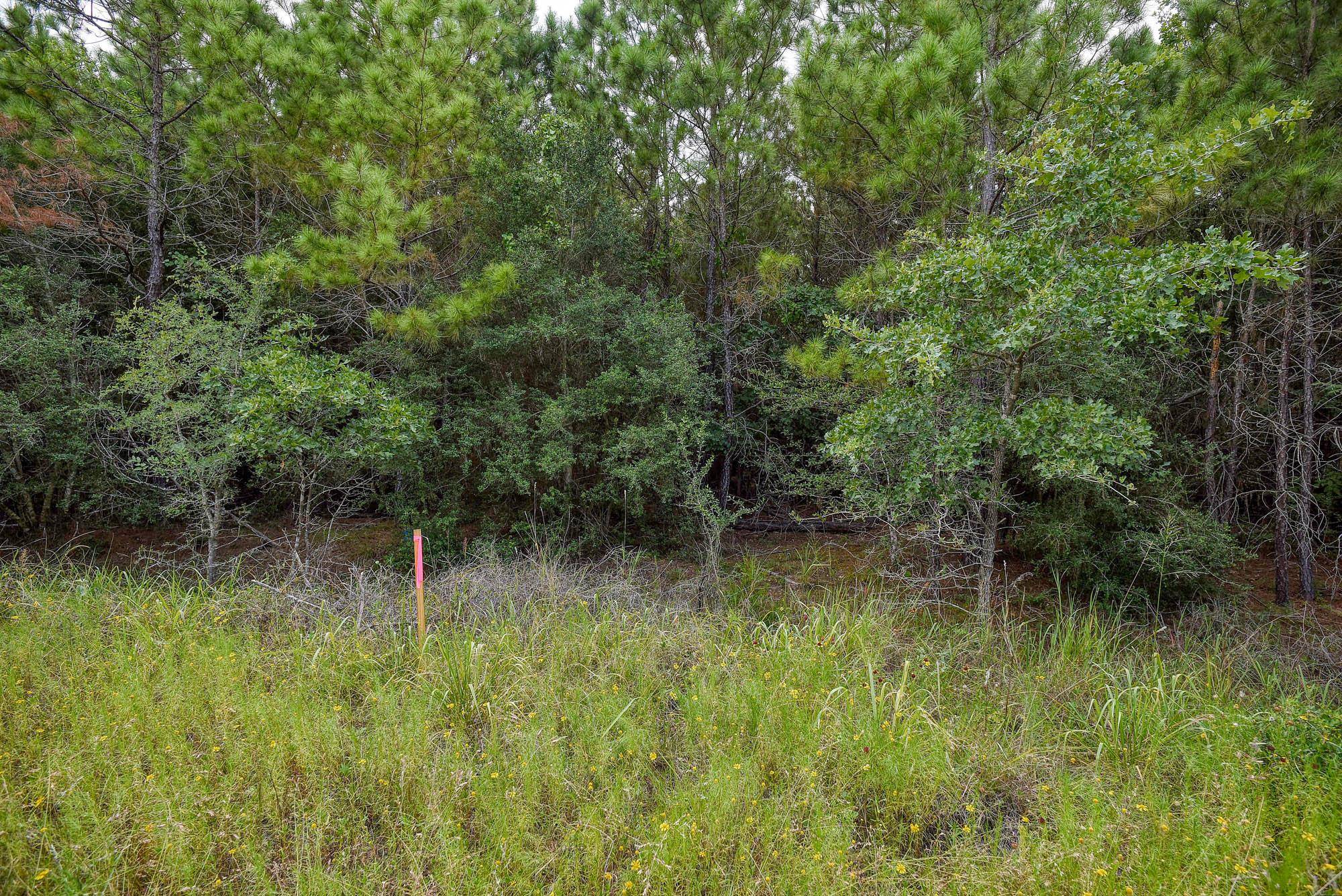 TBD Kipahulu DR #2, Bastrop, TX 78602