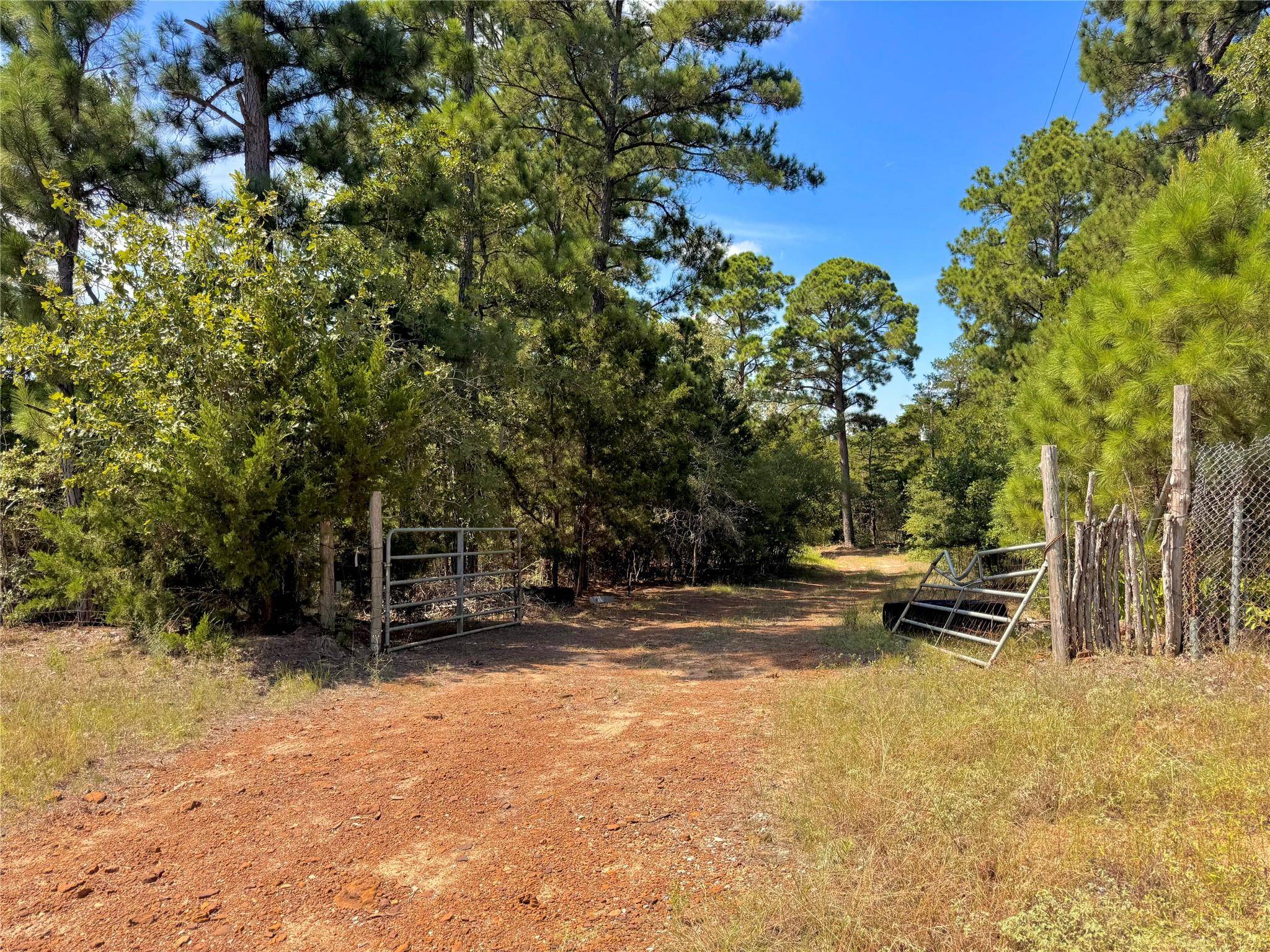 445 Pine Valley LOOP, Smithville, TX 78957