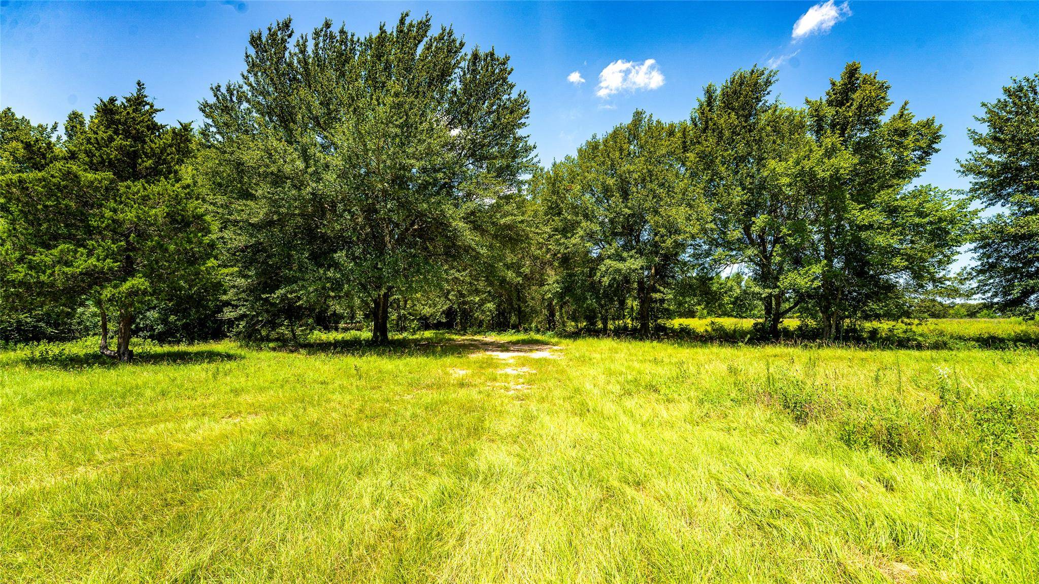 TBD CR 357, Gause, TX 77857
