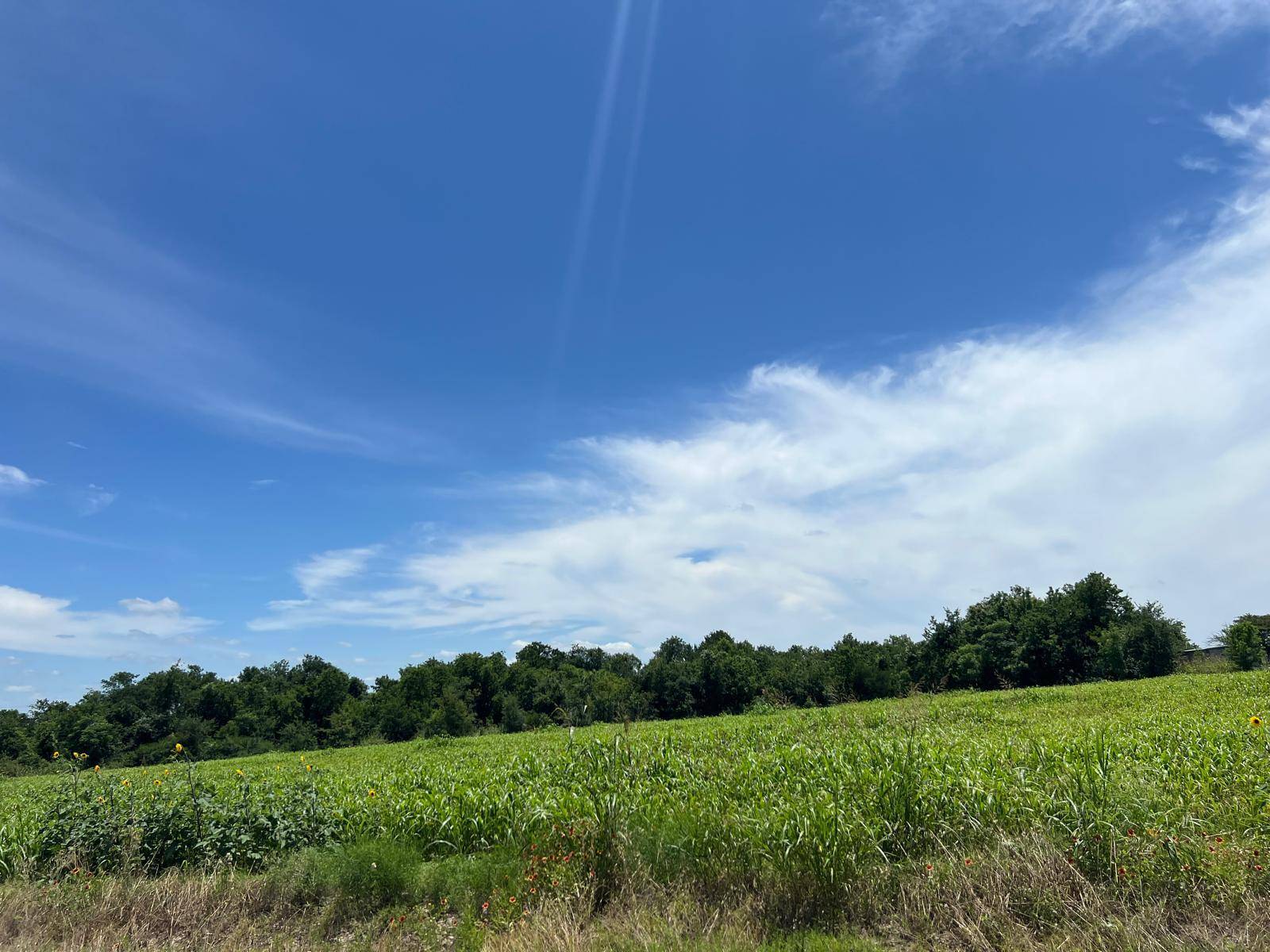 65.47 acres CR 327 RD, Granger, TX 76530