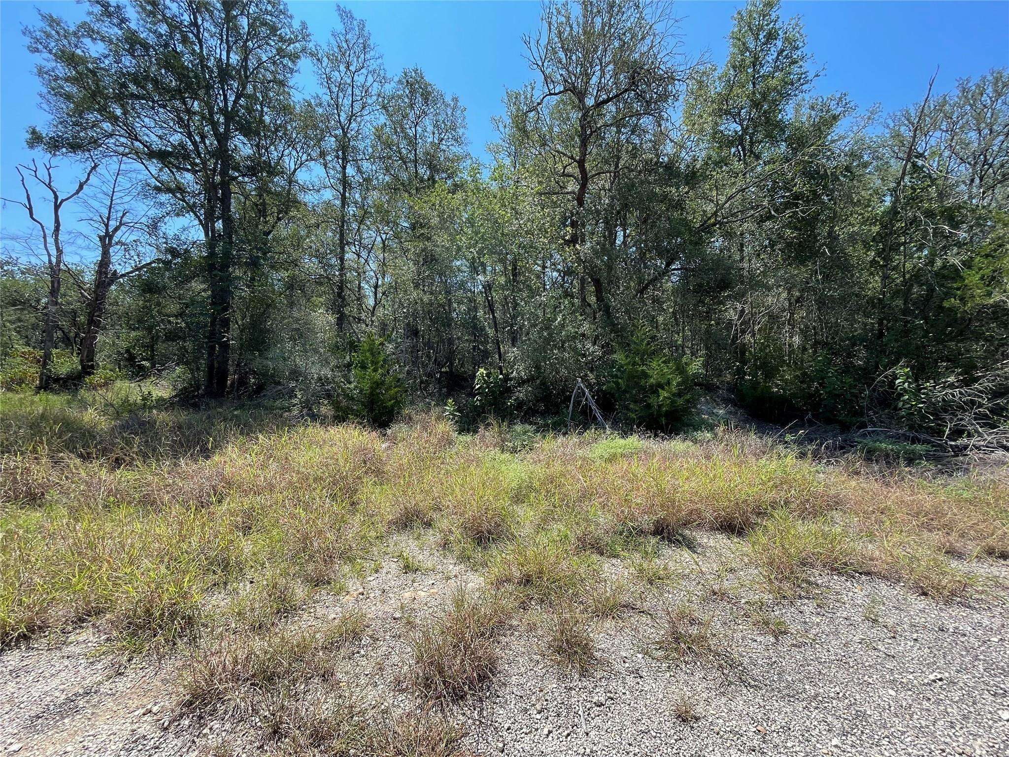 Lot 1112 Kawanui DR, Bastrop, TX 78602