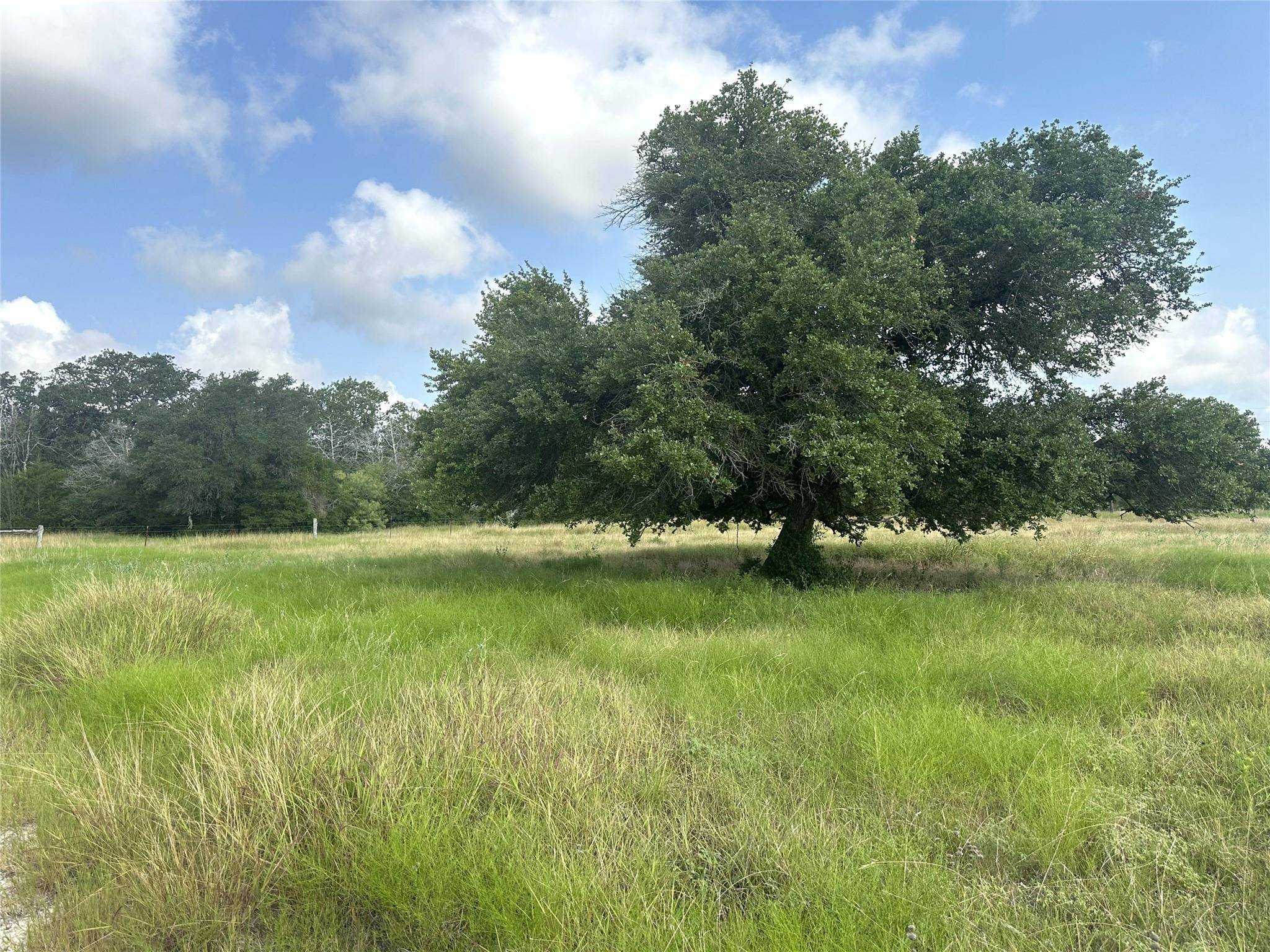 8345 Farm To Market 2145, La Grange, TX 78945