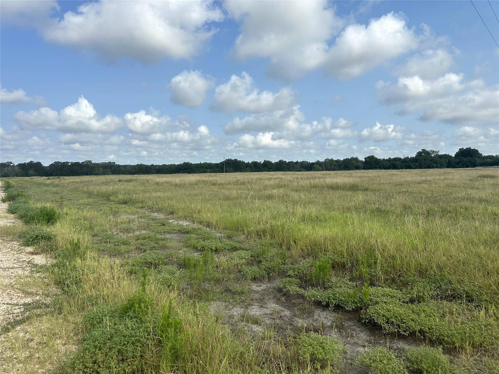 8345 Farm To Market 2145, La Grange, TX 78945