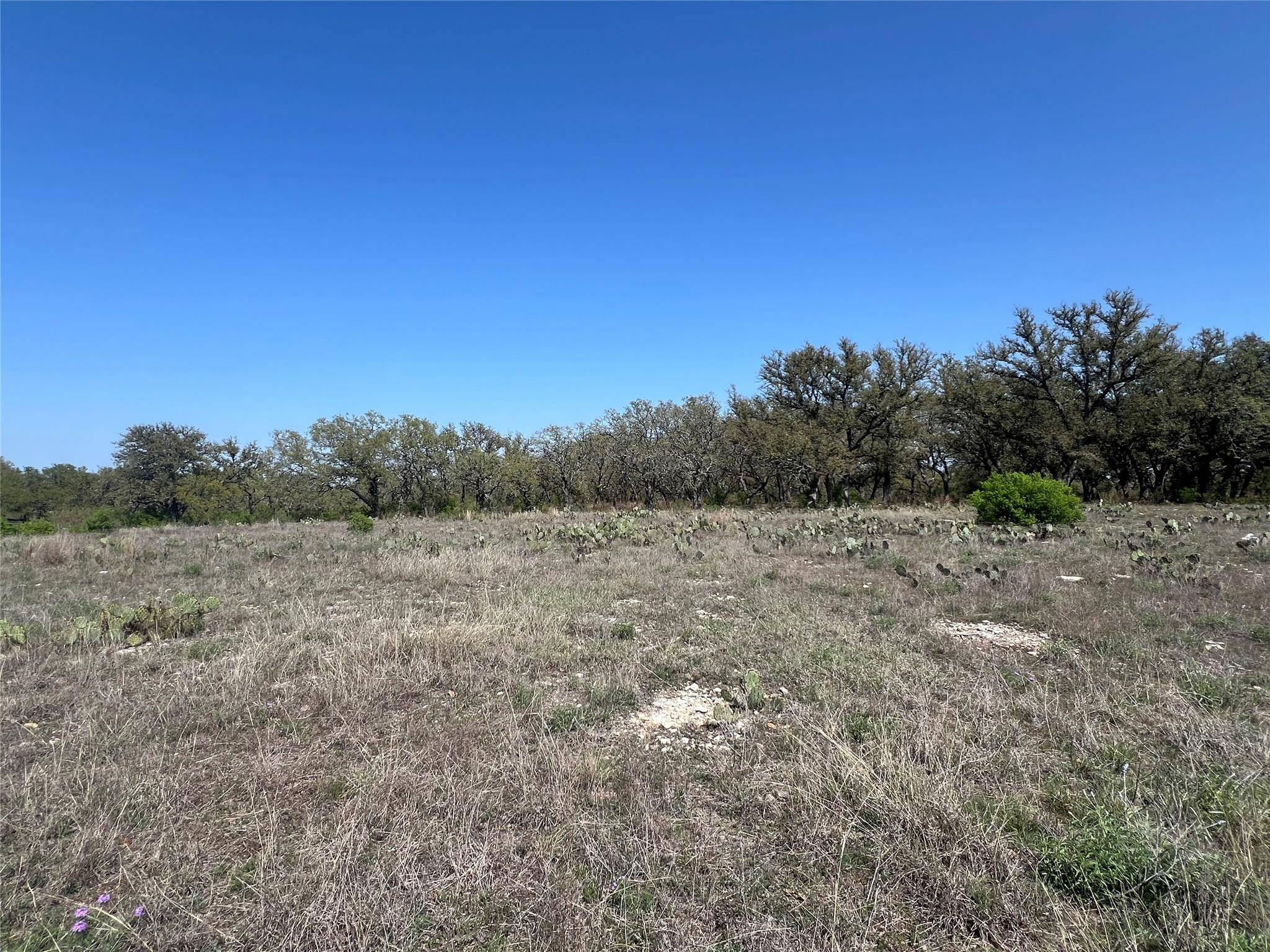 Lot 42 Waterbuck WAY, Lampasas, TX 76550