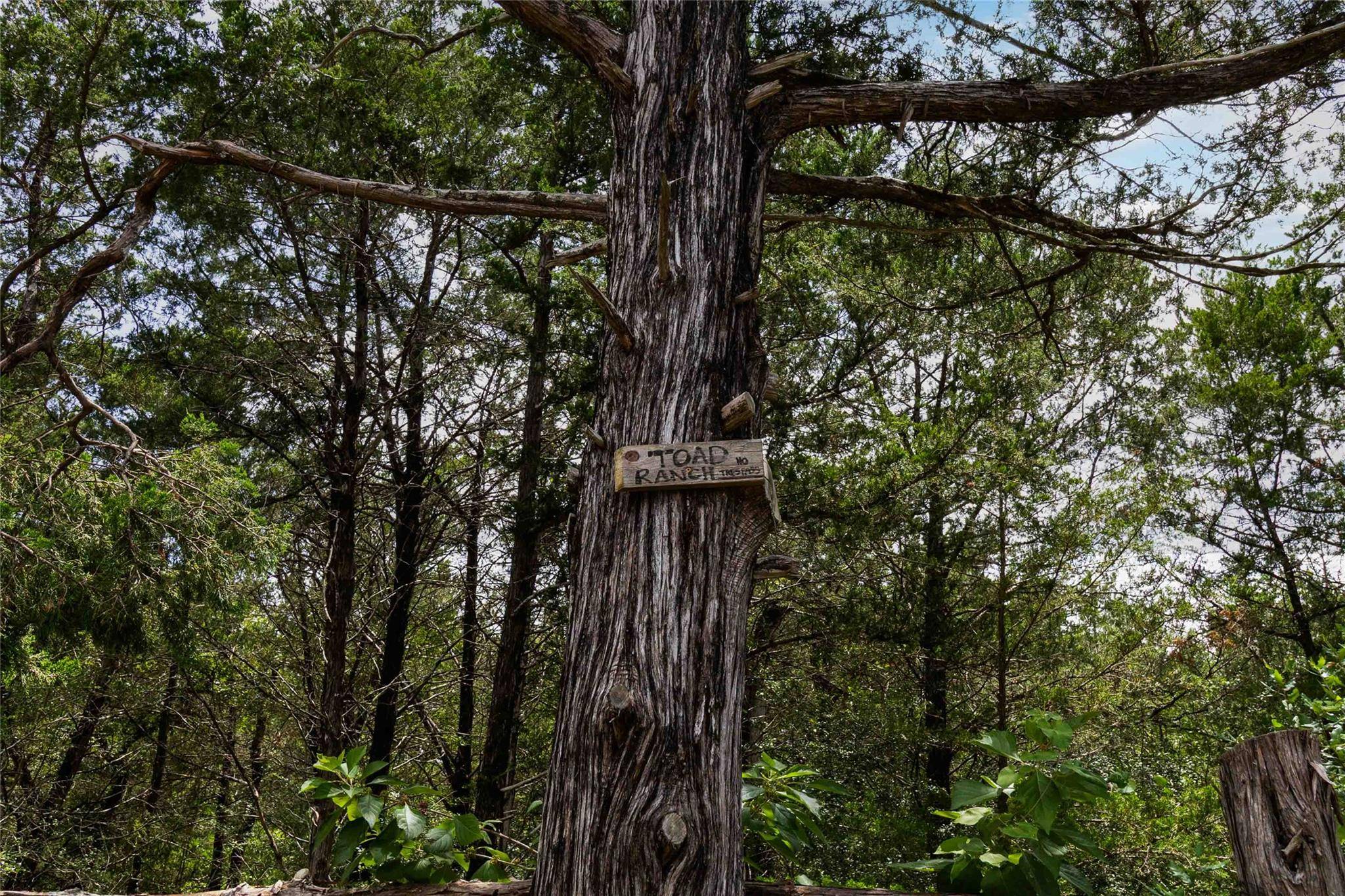 TBD Gotier Trace RD, Paige, TX 78659