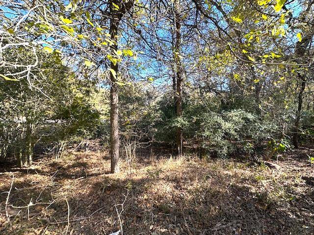 506 Tahitian DR, Bastrop, TX 78602