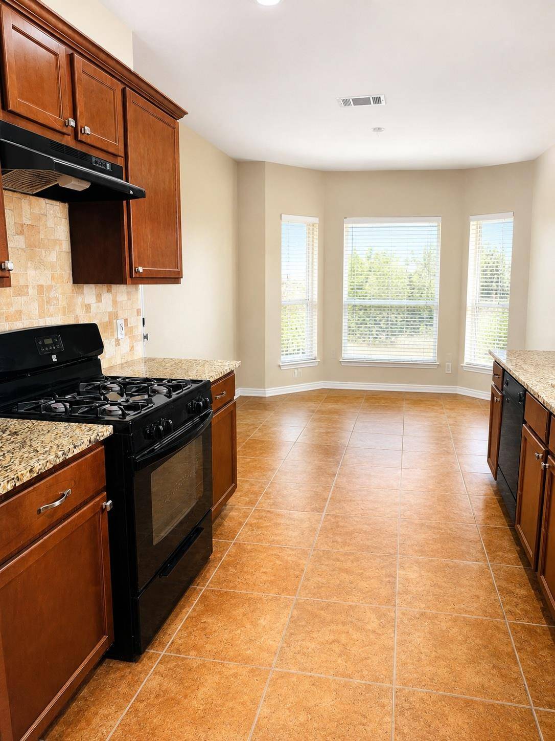 17252 Tobermory DR, Pflugerville, TX 78660