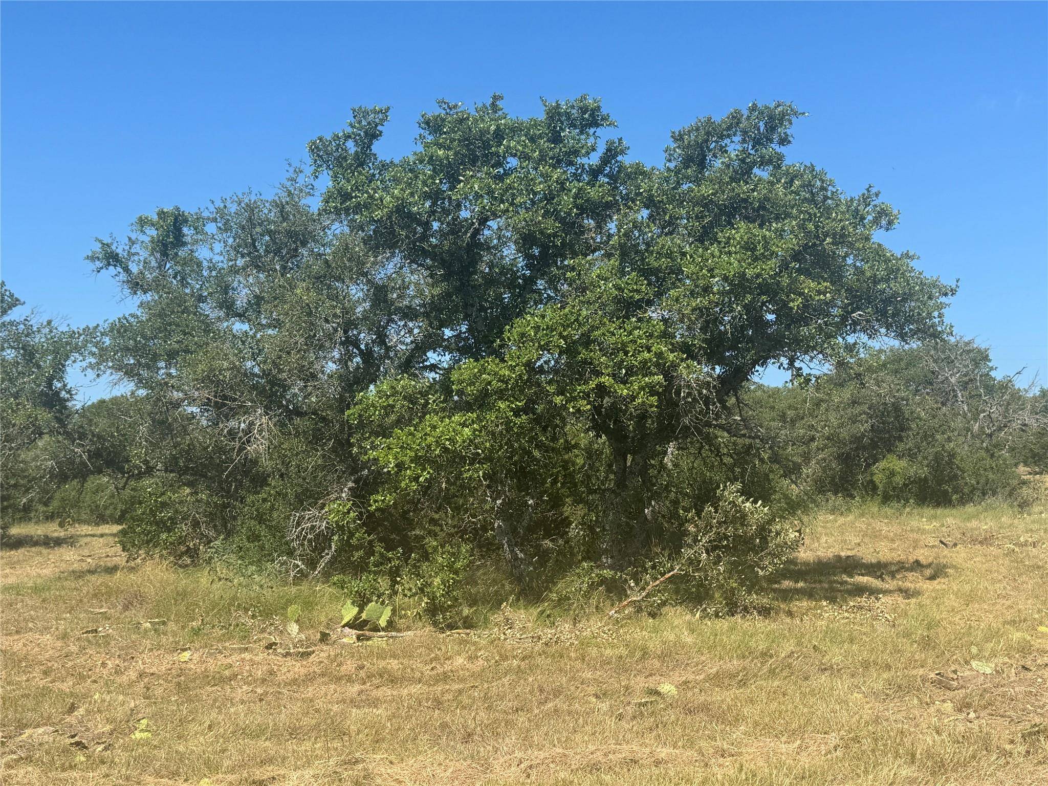 5 Back Bone creek DR, Burnet, TX 78611