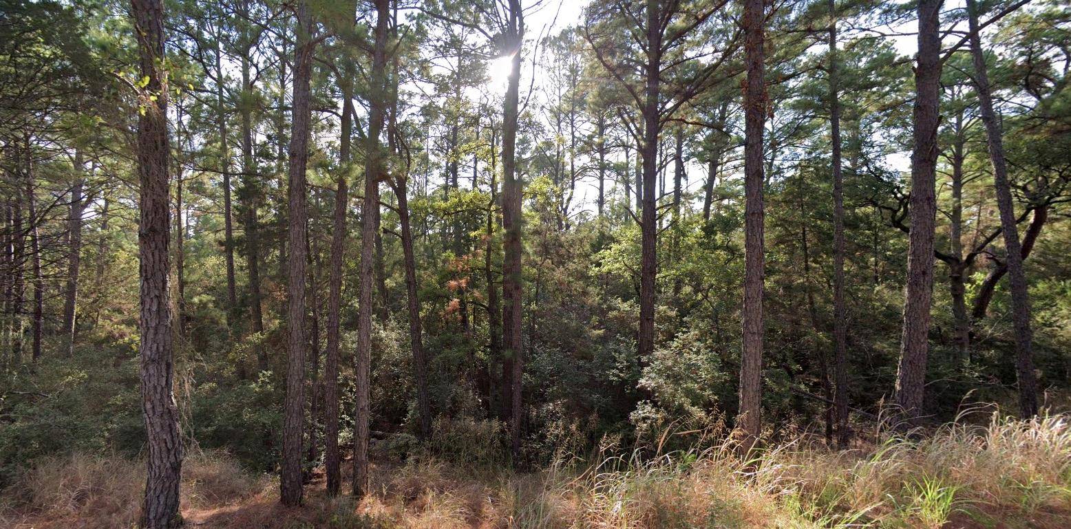135 Lamaloa LN, Bastrop, TX 78602