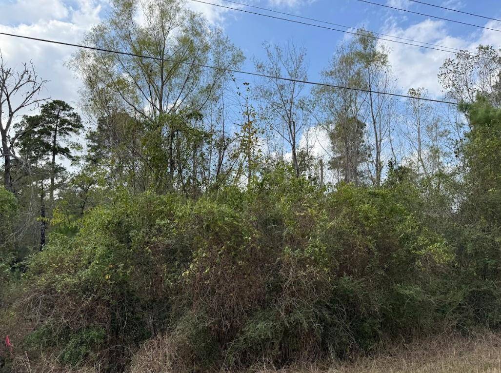 Lot 233 MAKAHA DR, Bastrop, TX 78602