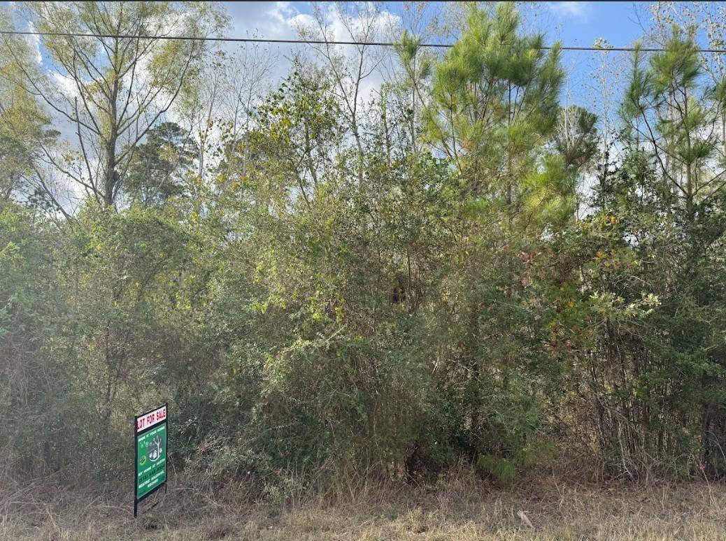 Lot 233 MAKAHA DR, Bastrop, TX 78602