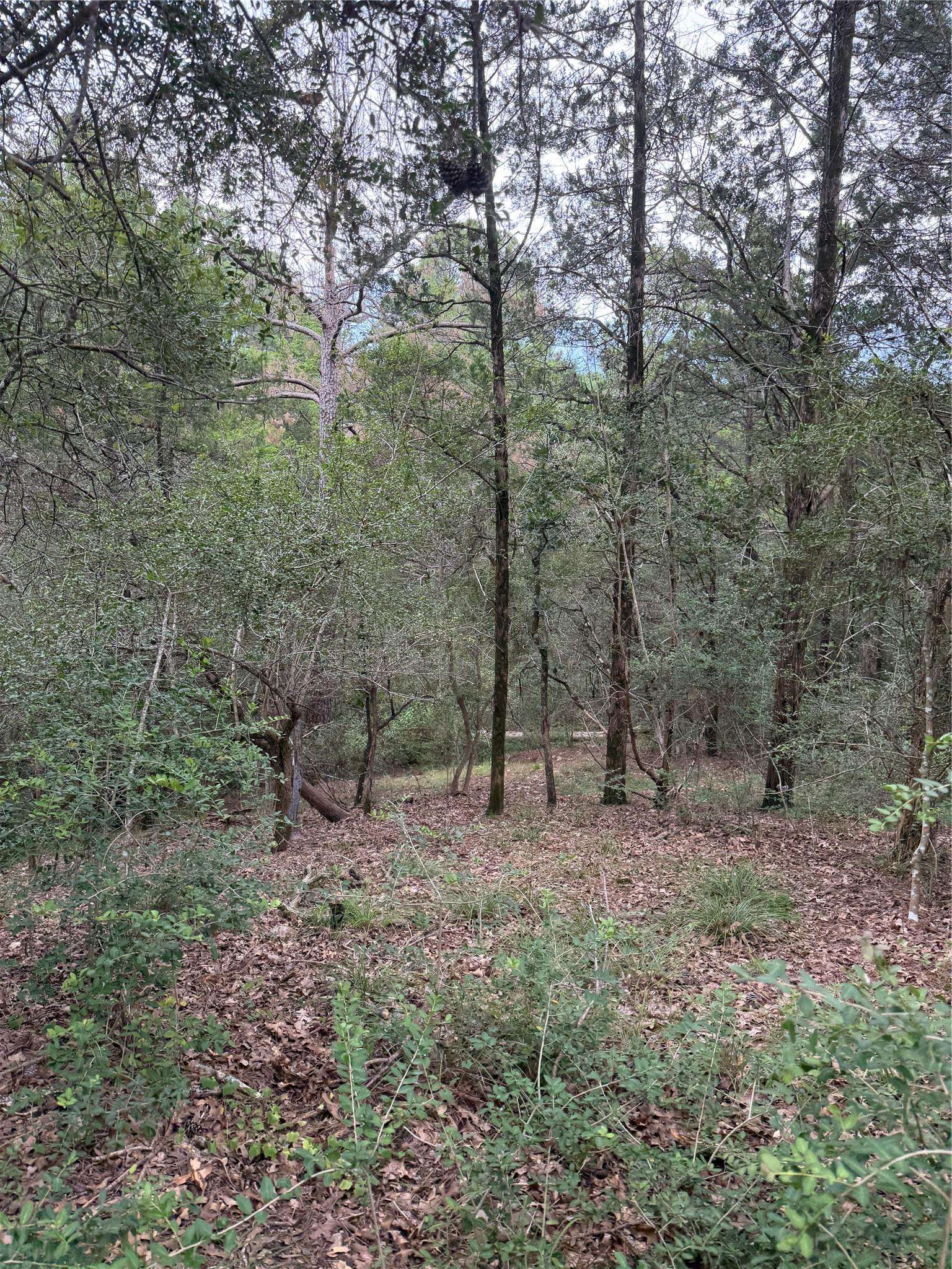 Lot 294 Aka CT, Bastrop, TX 78602