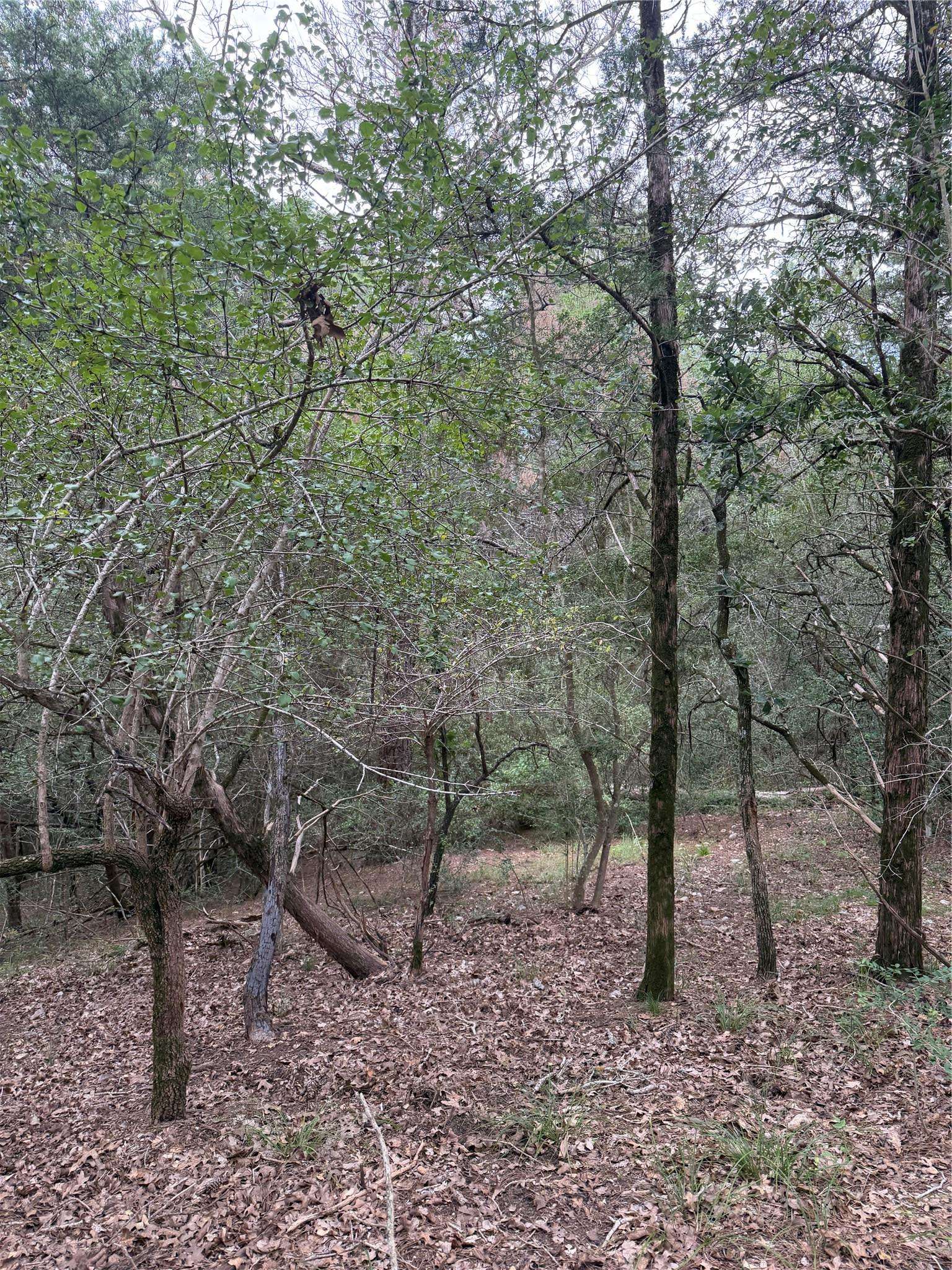 Lot 294 Aka CT, Bastrop, TX 78602