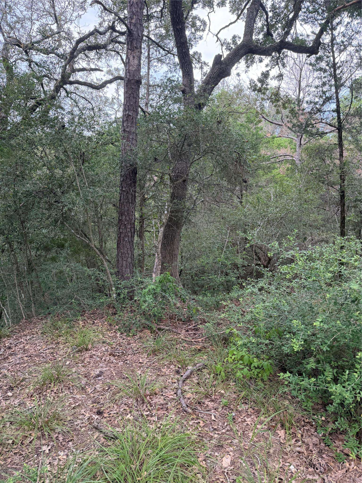 Lot 294 Aka CT, Bastrop, TX 78602