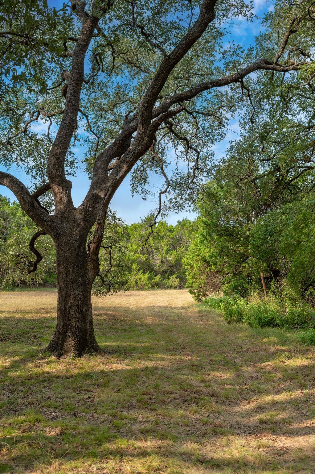 5021 Little Valley RD, Leander, TX 78641