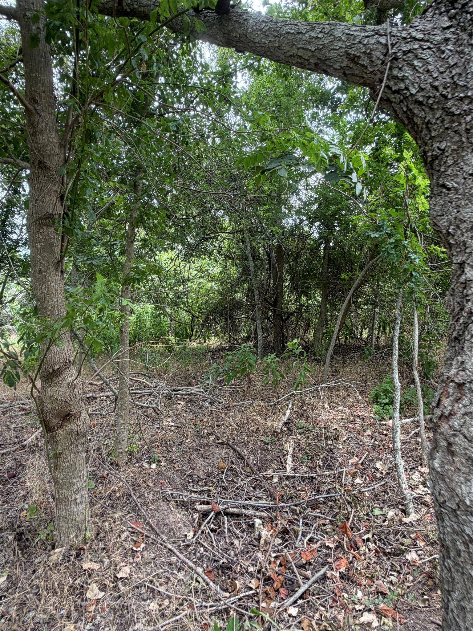 161 Kahana LN, Bastrop, TX 78602