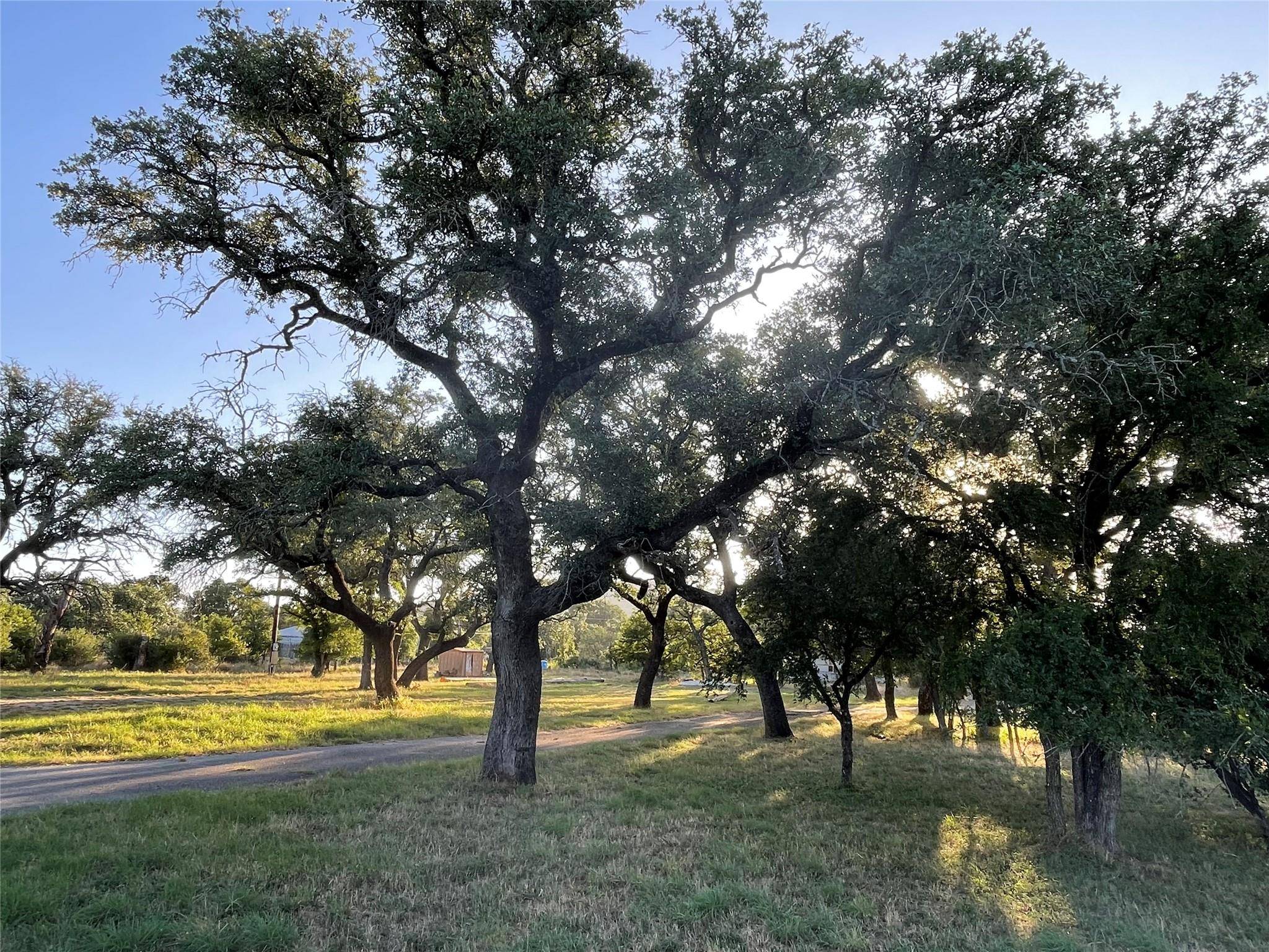 110 Wolf RUN, Burnet, TX 78611