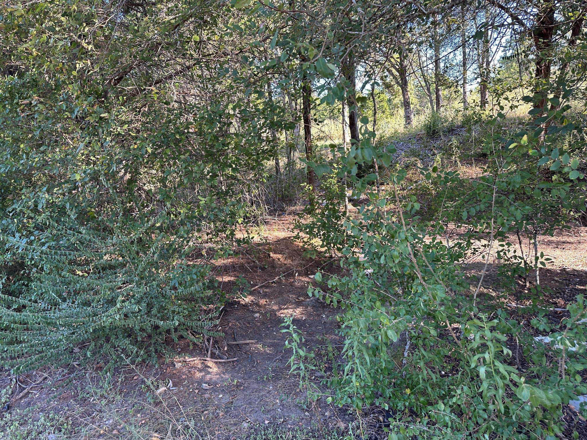 LOT 9 Robin RUN, Bastrop, TX 78602