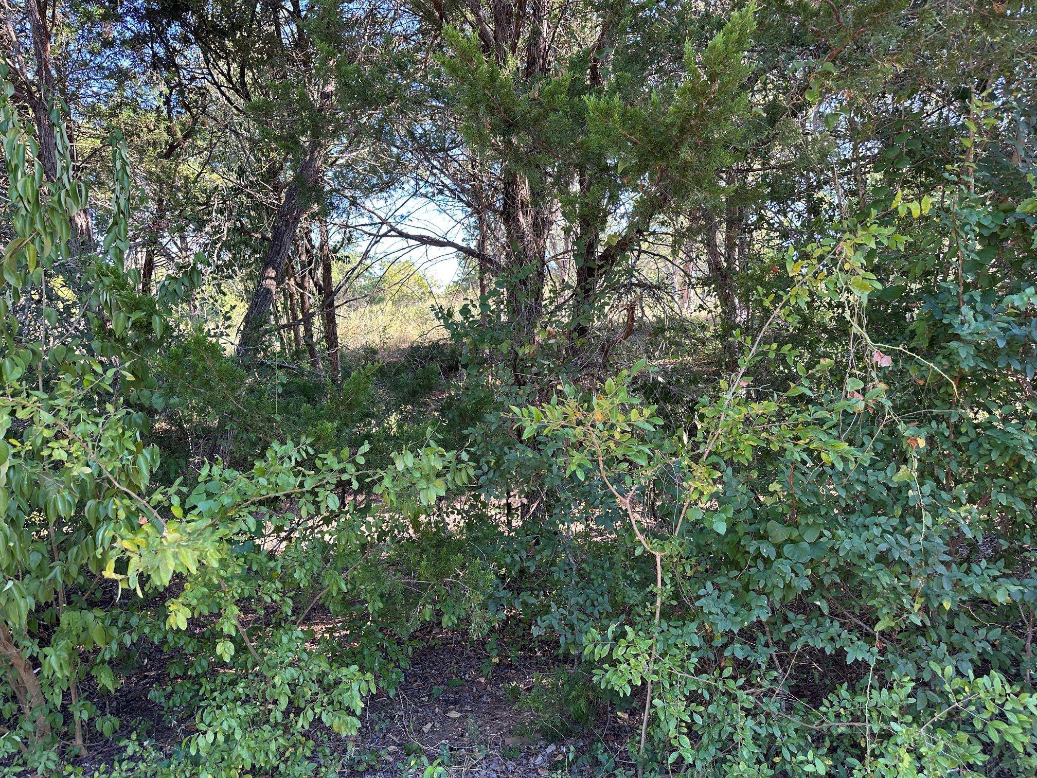 LOT 9 Robin RUN, Bastrop, TX 78602