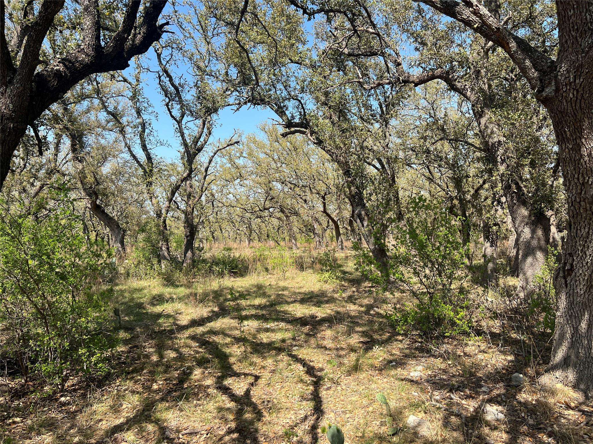 Lot 43 Waterbuck WAY, Lampasas, TX 76550