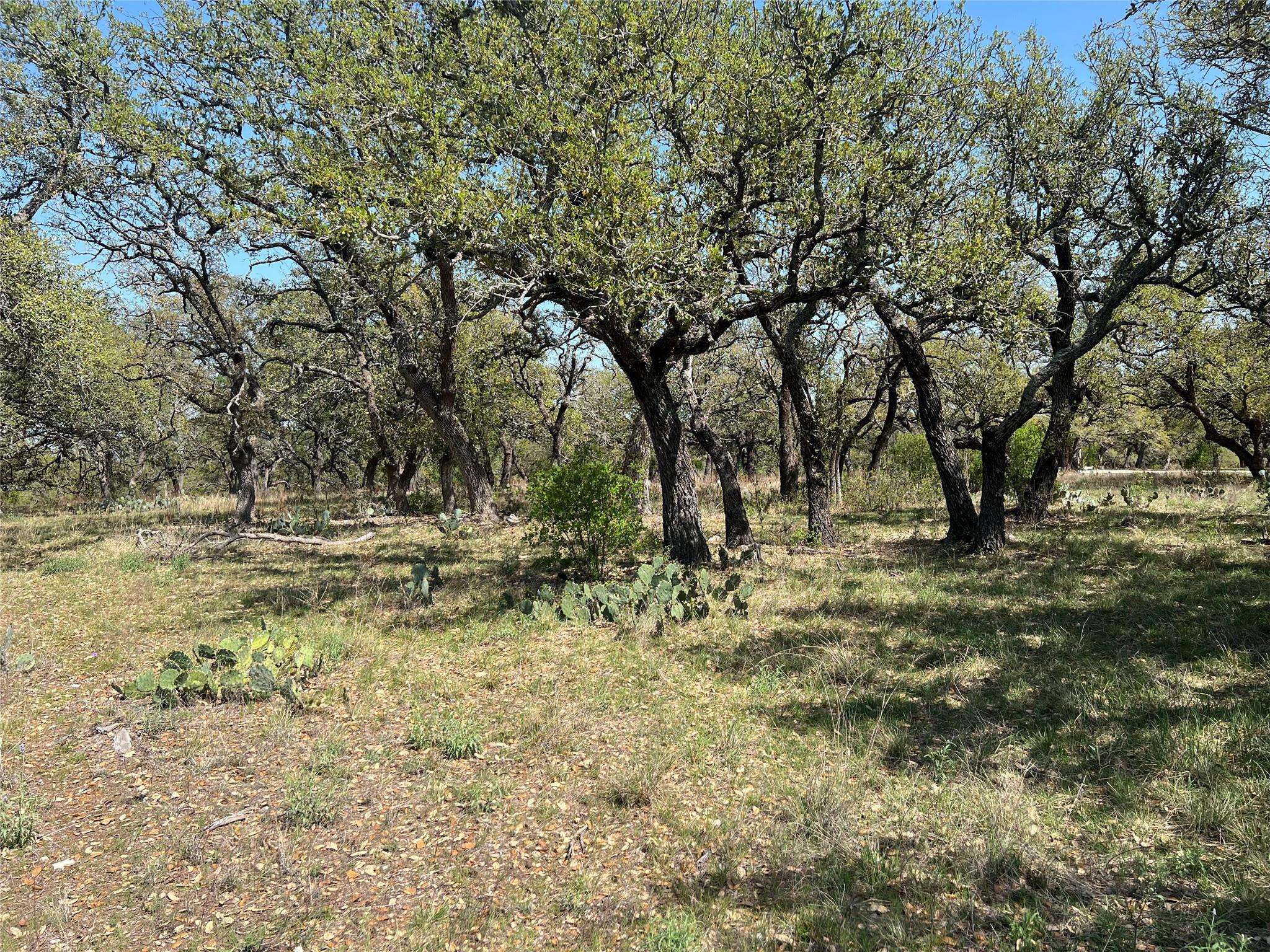 Lot 43 Waterbuck WAY, Lampasas, TX 76550