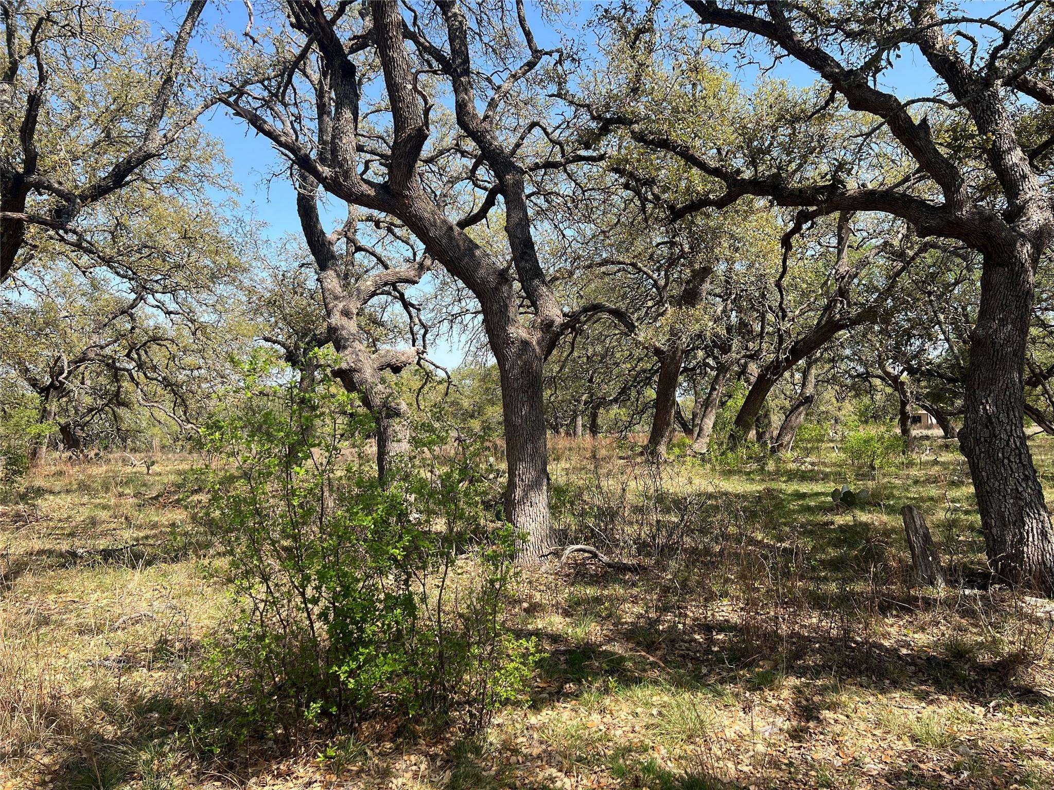 Lot 43 Waterbuck WAY, Lampasas, TX 76550