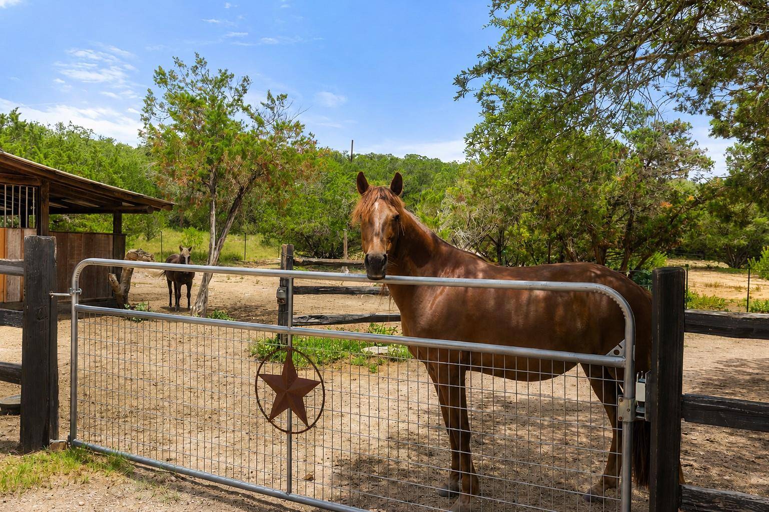 1906 Bee Creek RD, Spicewood, TX 78669