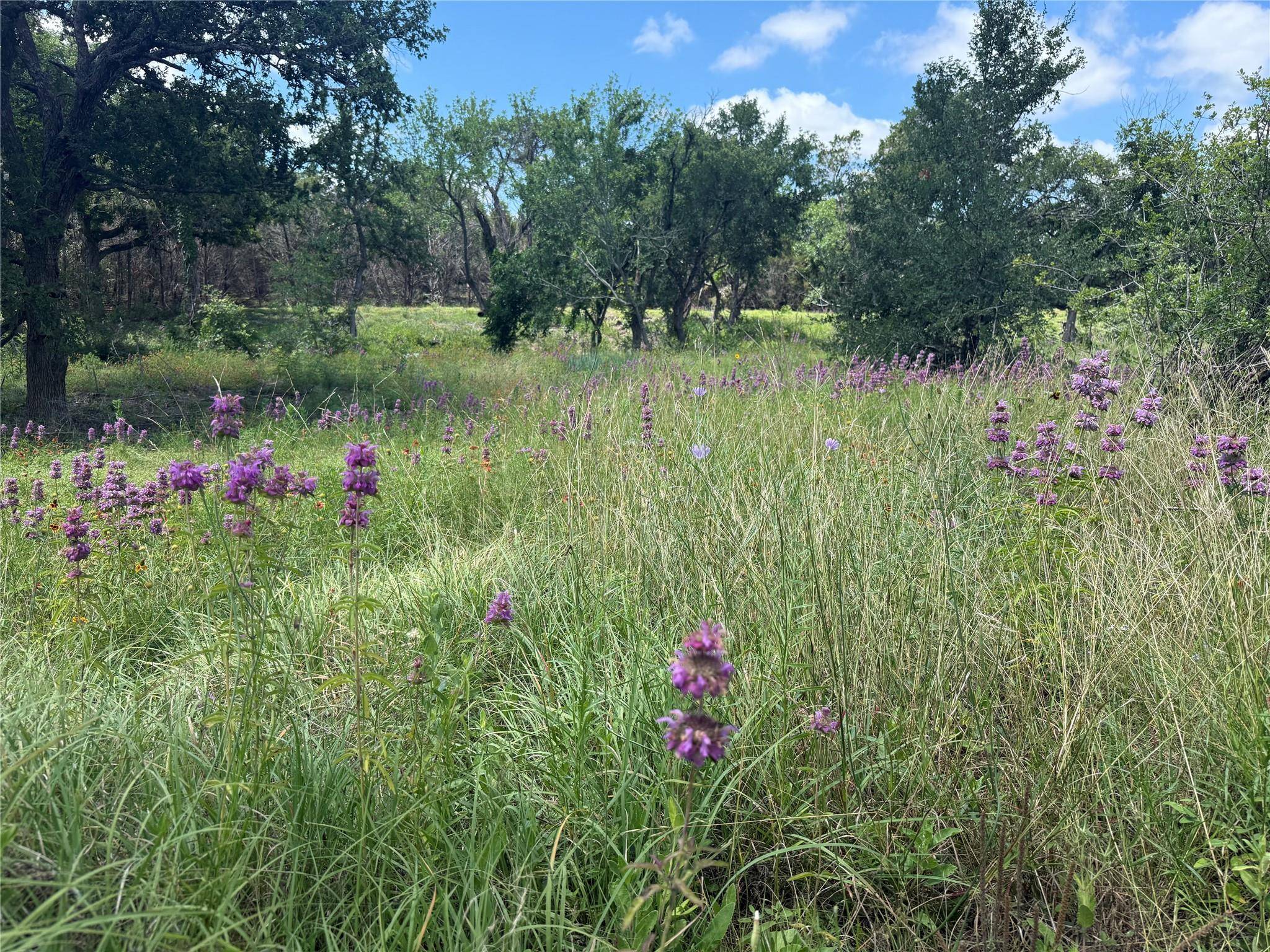 5150 CR 254, Bertram, TX 78605