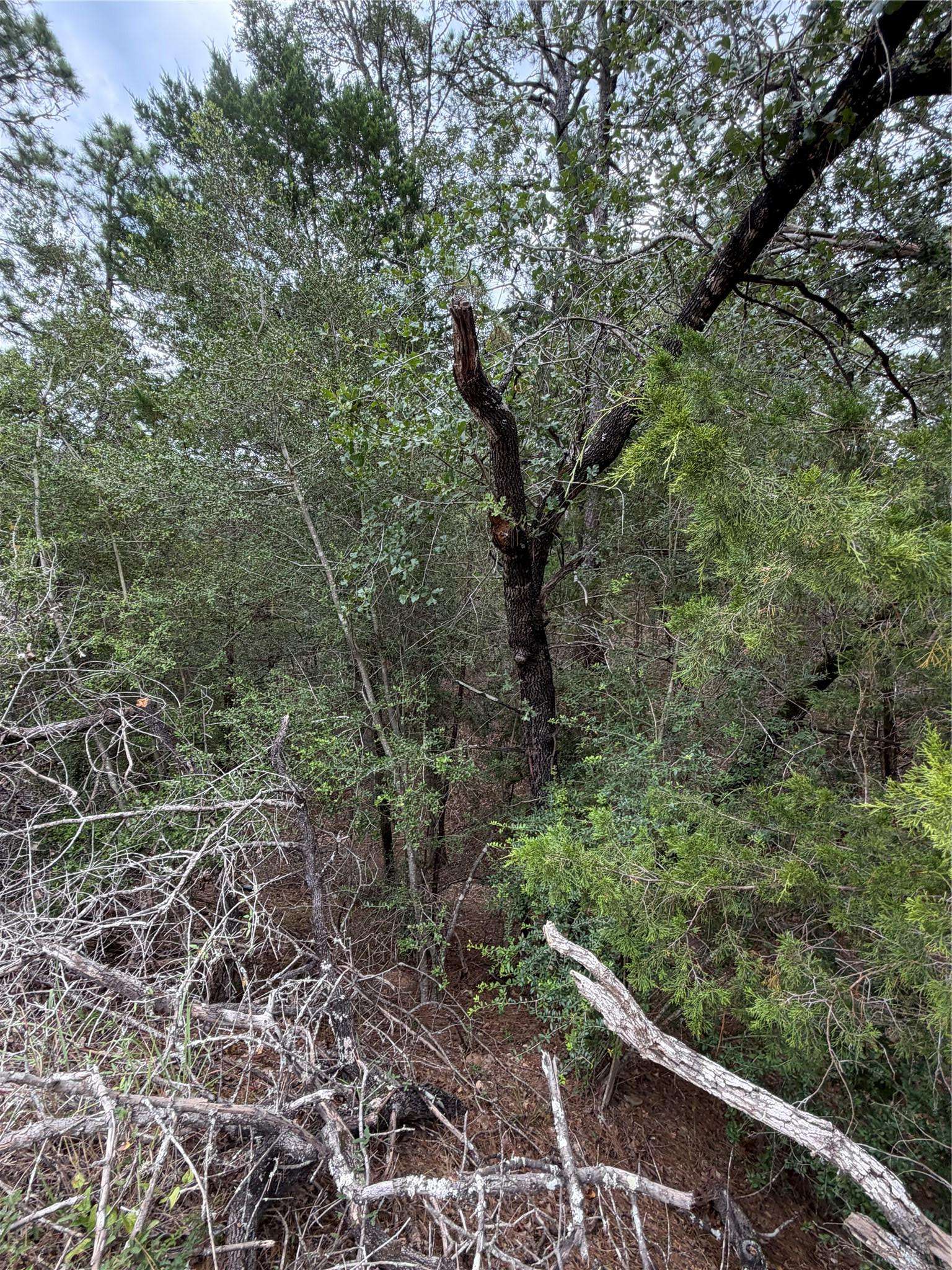 Lots 407 and 408 Molokini DR, Bastrop, TX 78602