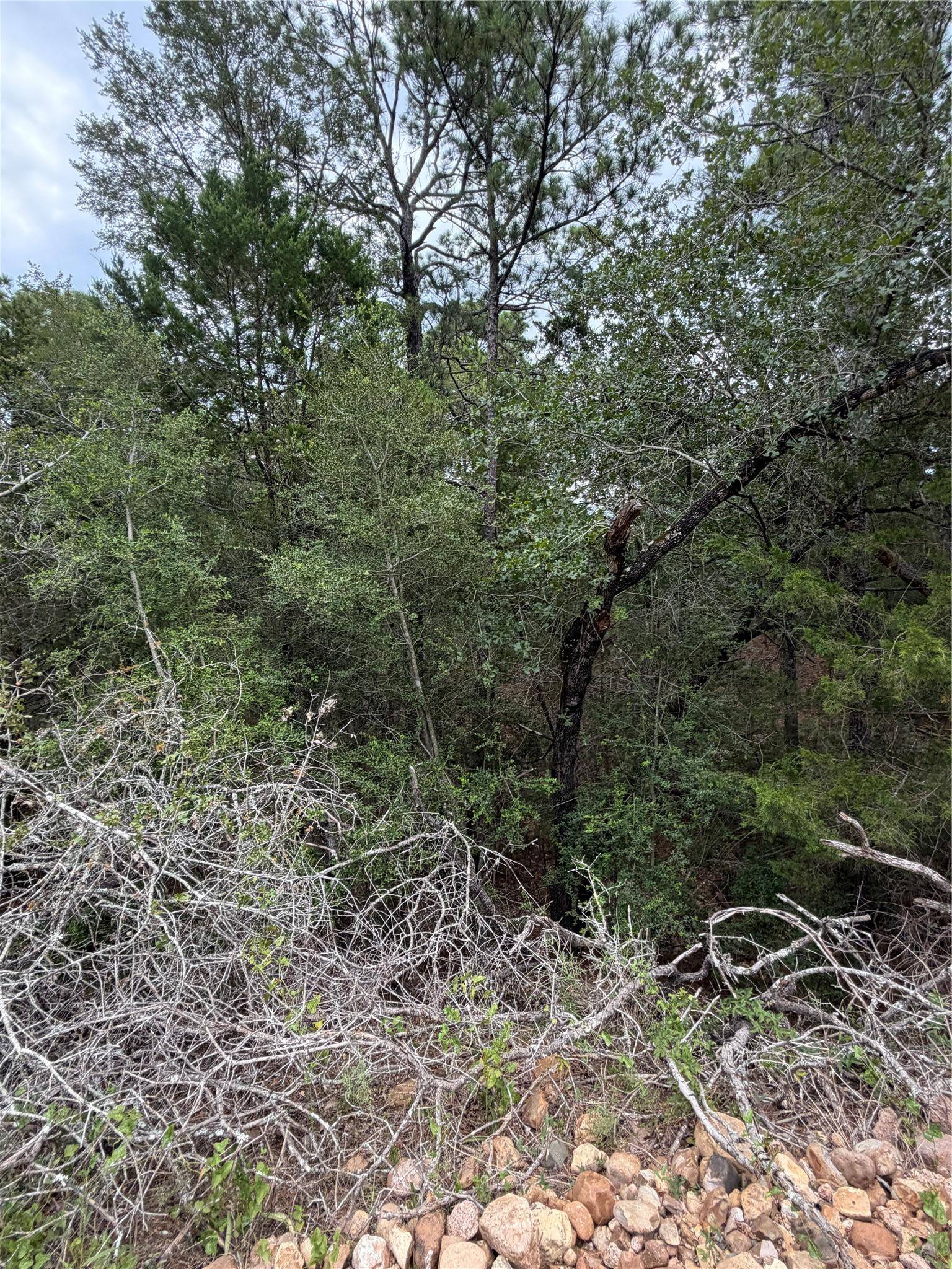 Lots 407 and 408 Molokini DR, Bastrop, TX 78602