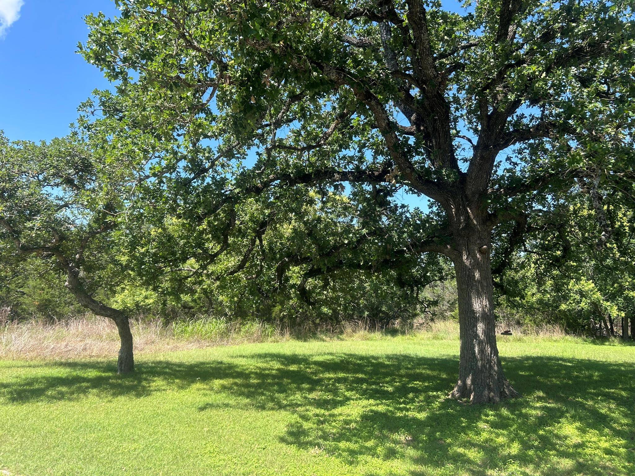 206 Wind Ridge CV, Georgetown, TX 78628