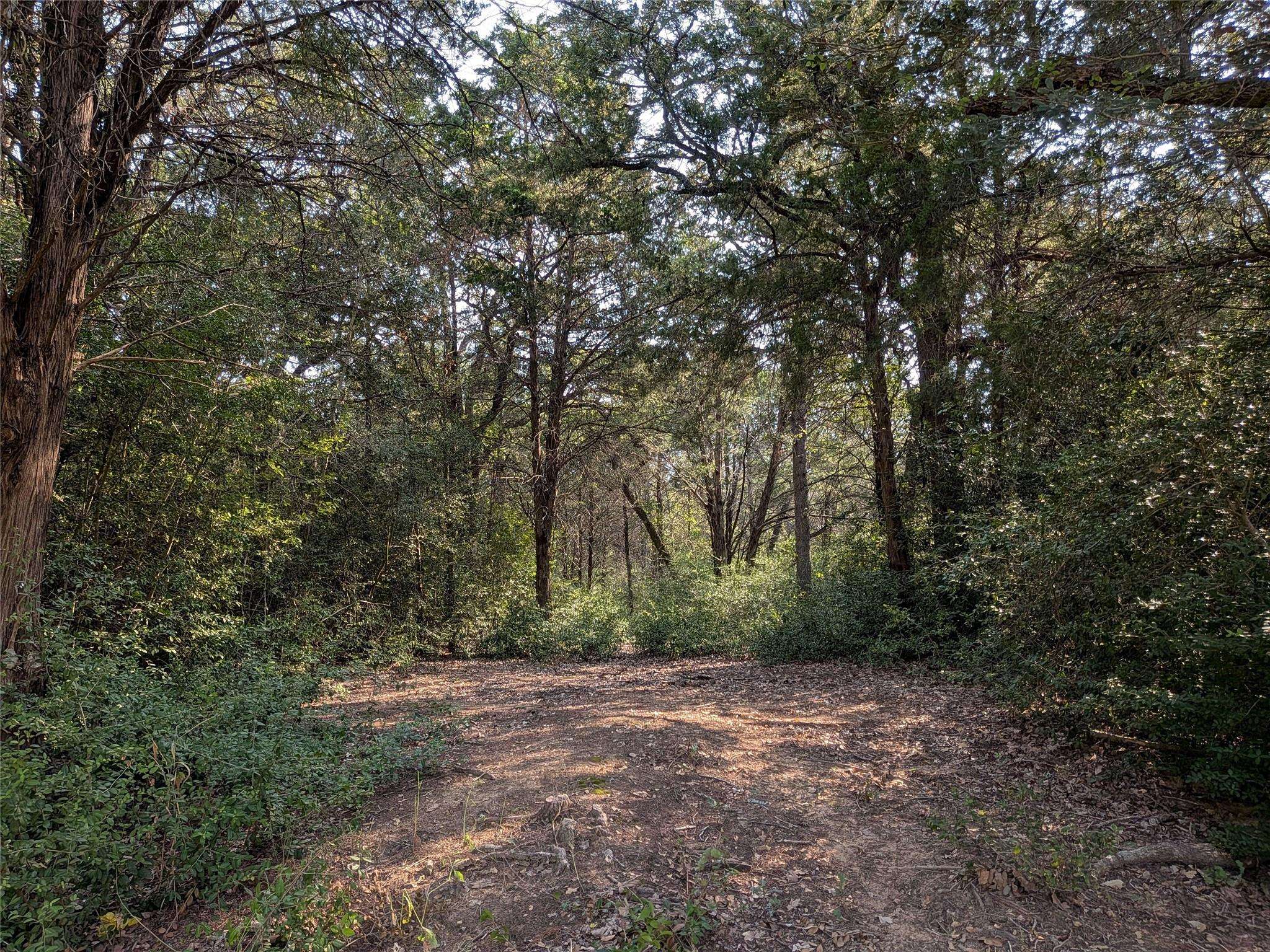 TBD Private Road 7039, Lexington, TX 78947