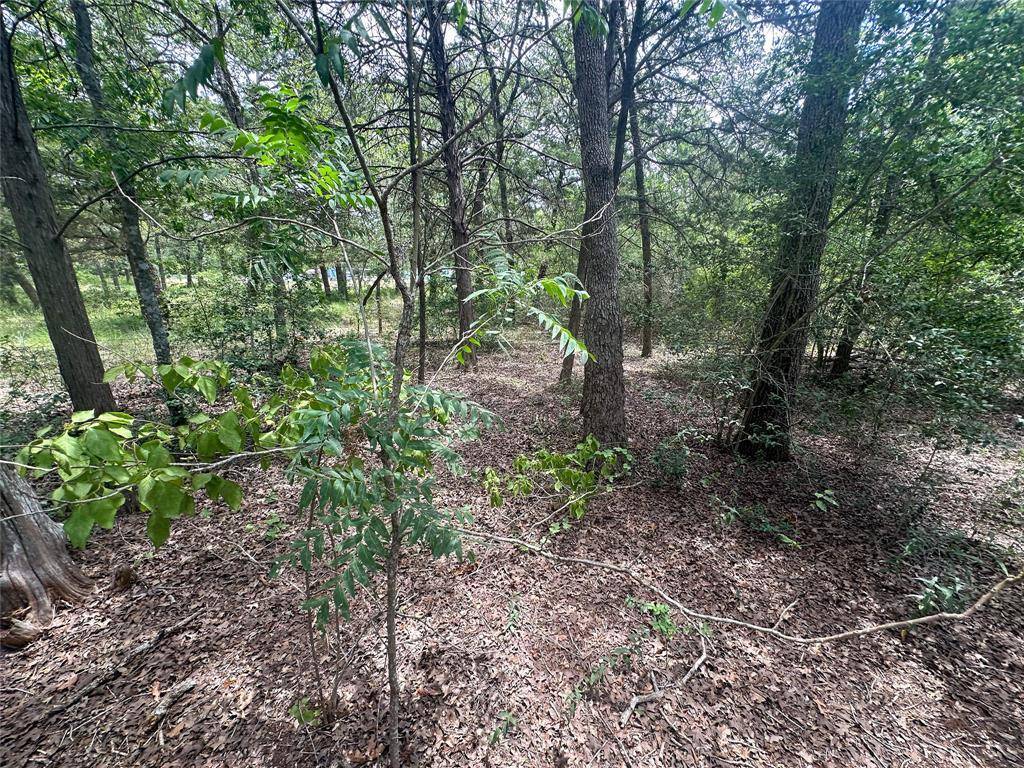 246 Arrowhead DR, Smithville, TX 78957