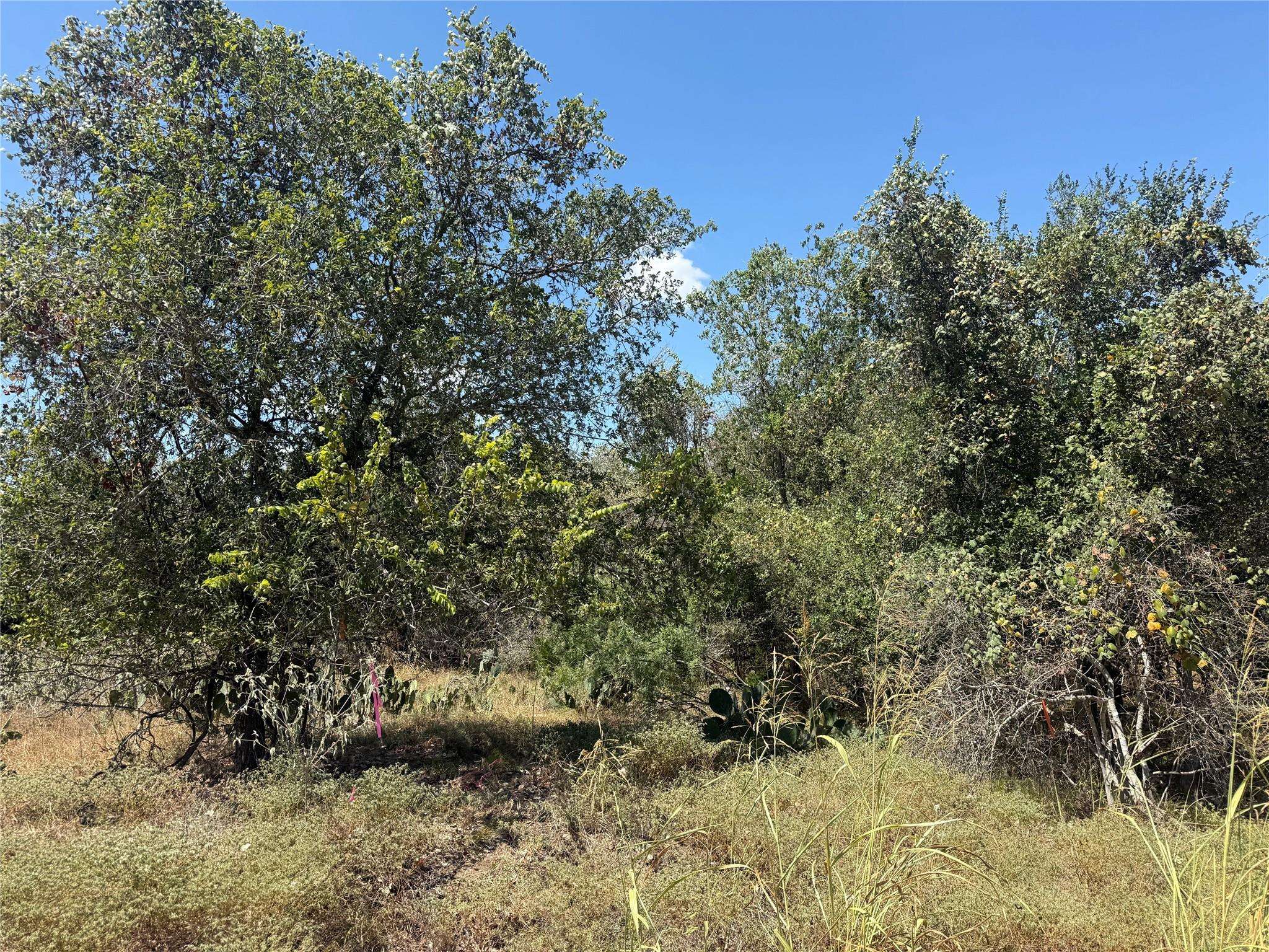 TBD Kawainui LN, Bastrop, TX 78602