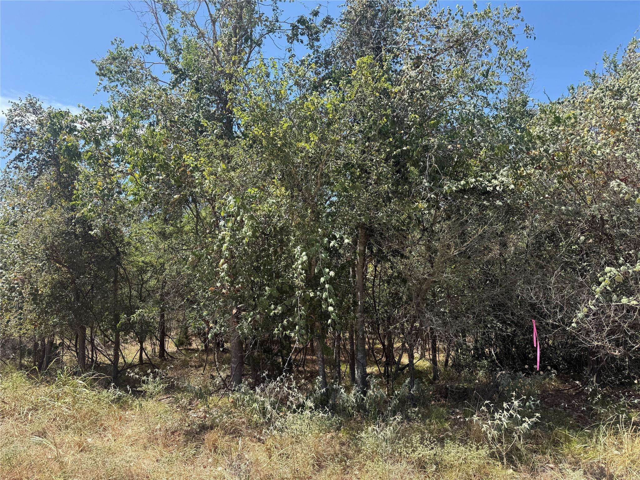TBD Kawainui LN, Bastrop, TX 78602