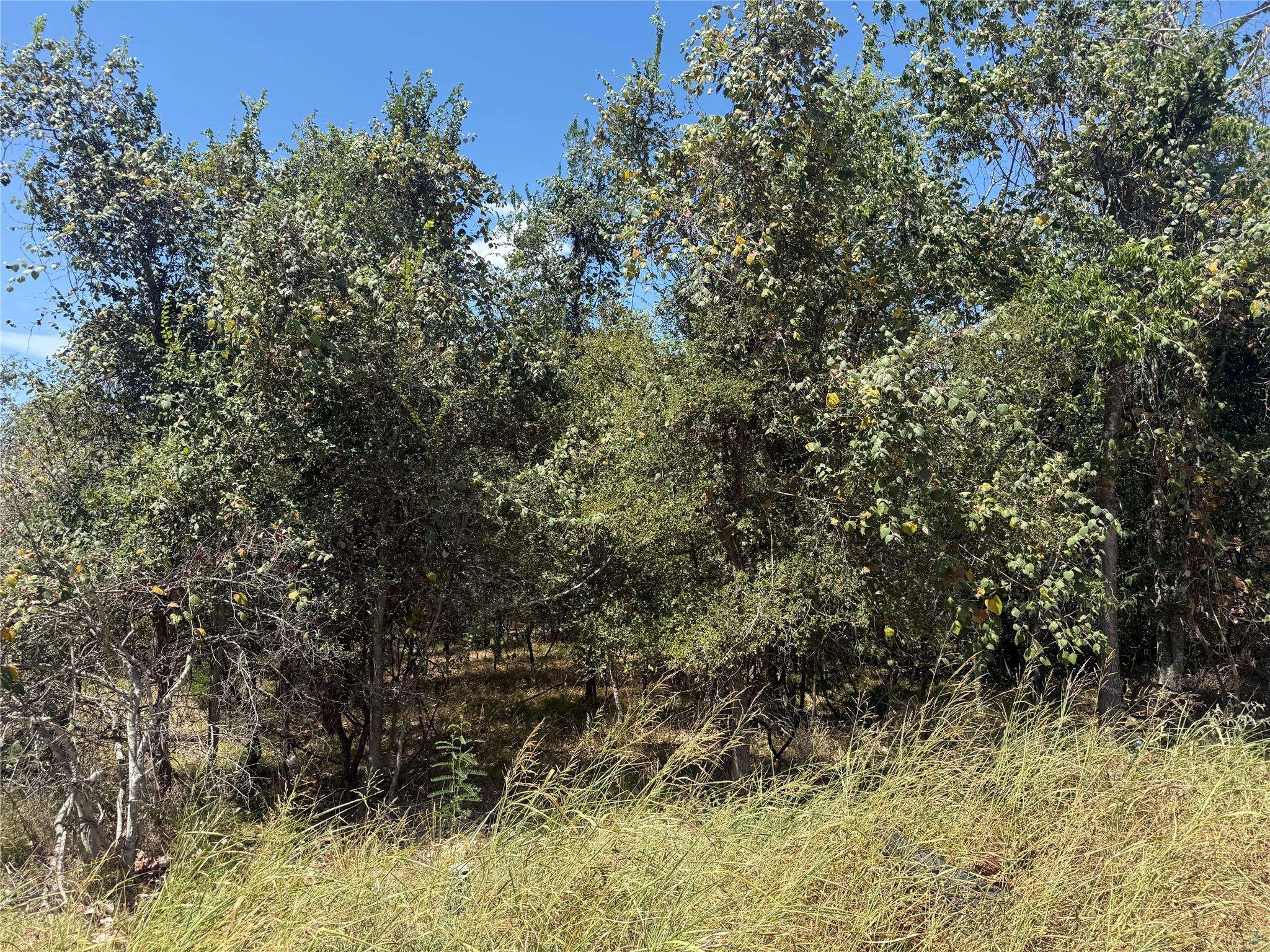 TBD Kawainui LN, Bastrop, TX 78602